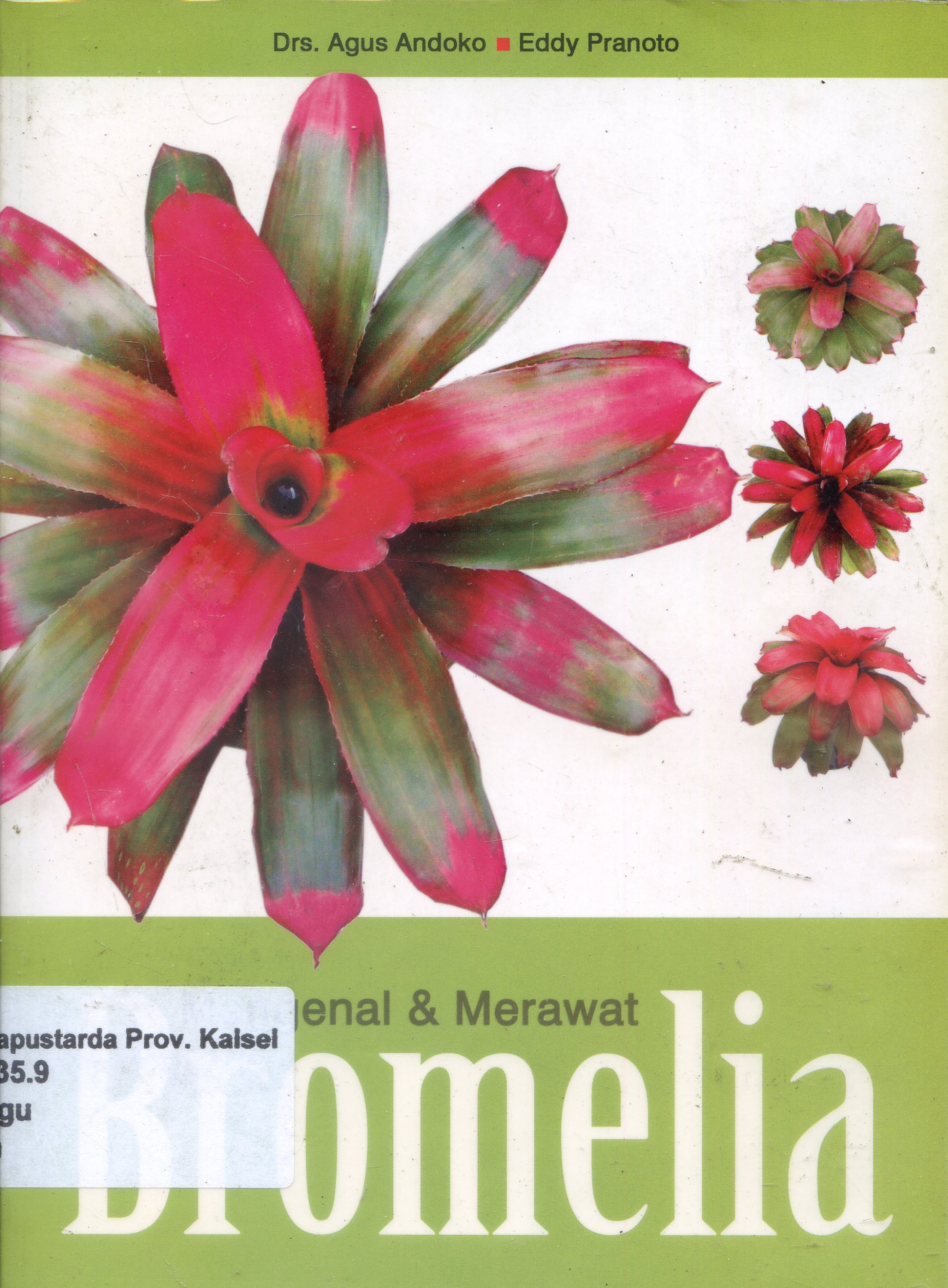 Cover Mengenal dan Merawat Bromelia / Agus Andoko, Eddy Pranoto ; Editor, Bagus Harianto