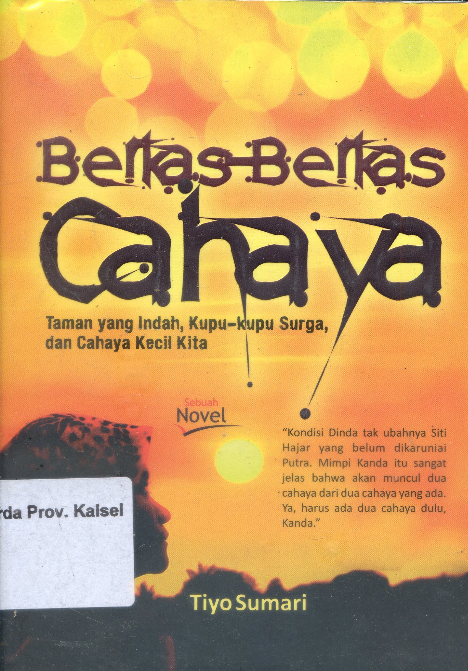 Cover Berkas-berkas Cahaya : Taman yang indah, kupu-kupu surga dan cahaya kecil kita / Tiyo Sumari ; Editor, Ahmala