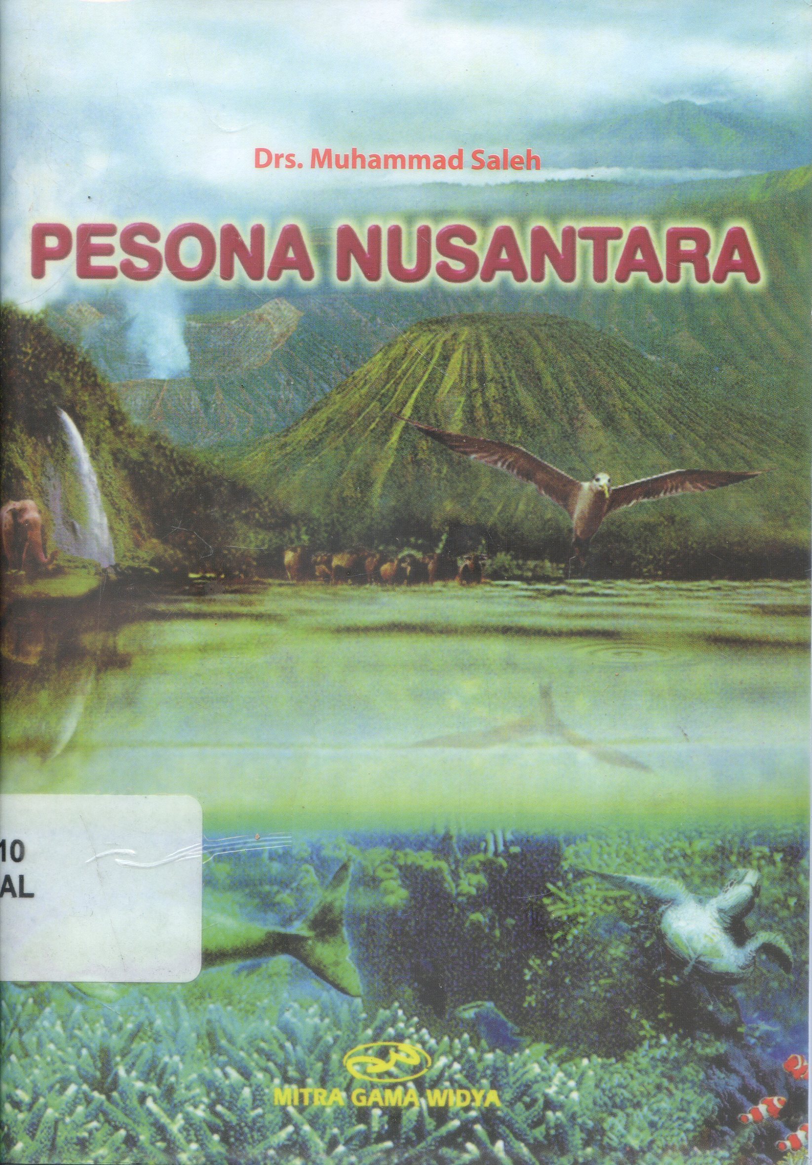 Cover Pesona Nusantara / Muhammad Saleh ; Penyunting, Iyan Wibowo