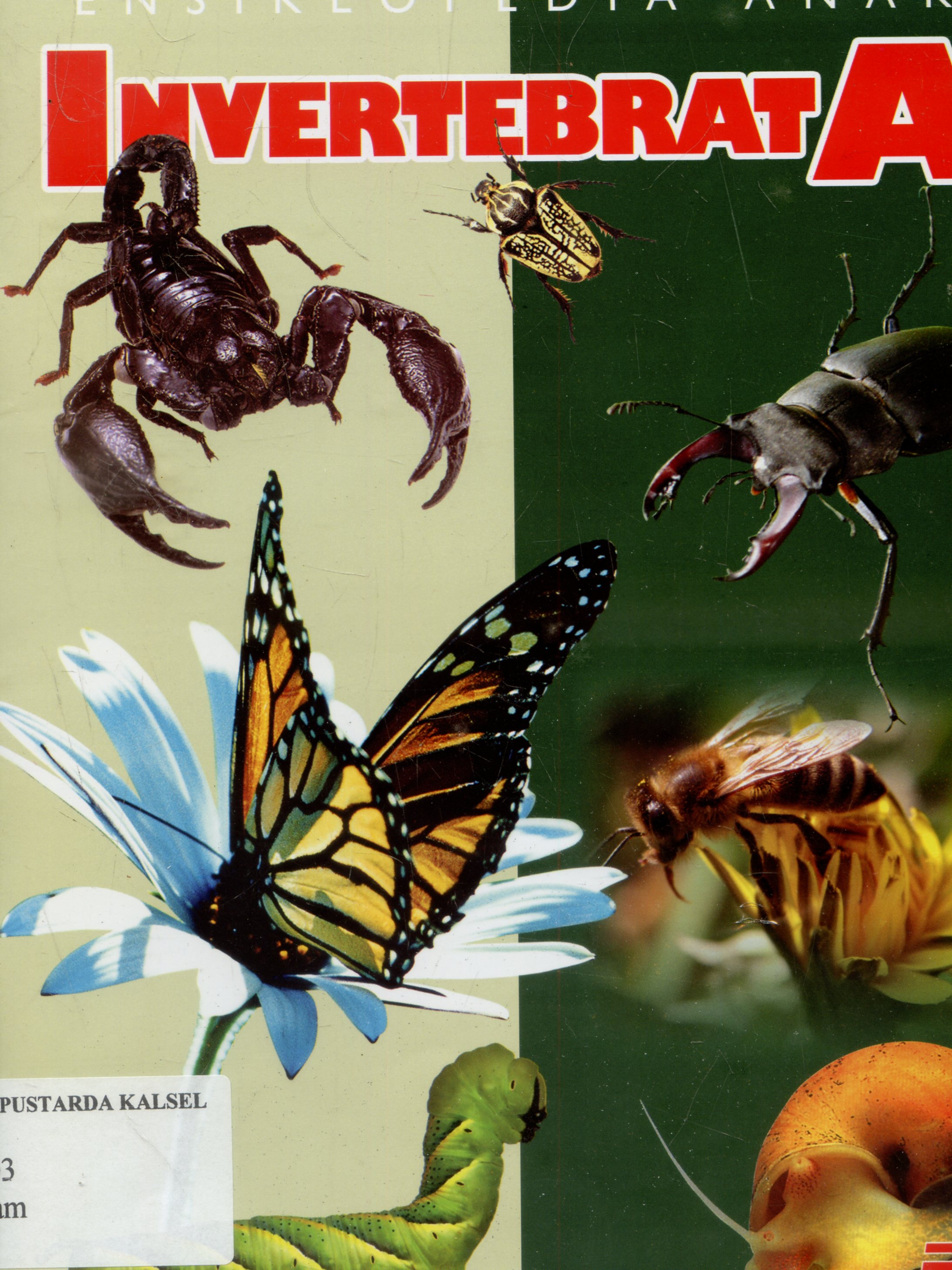 Cover Ensiklopedia anak : Invertebrata / Tarama Nurmutiah