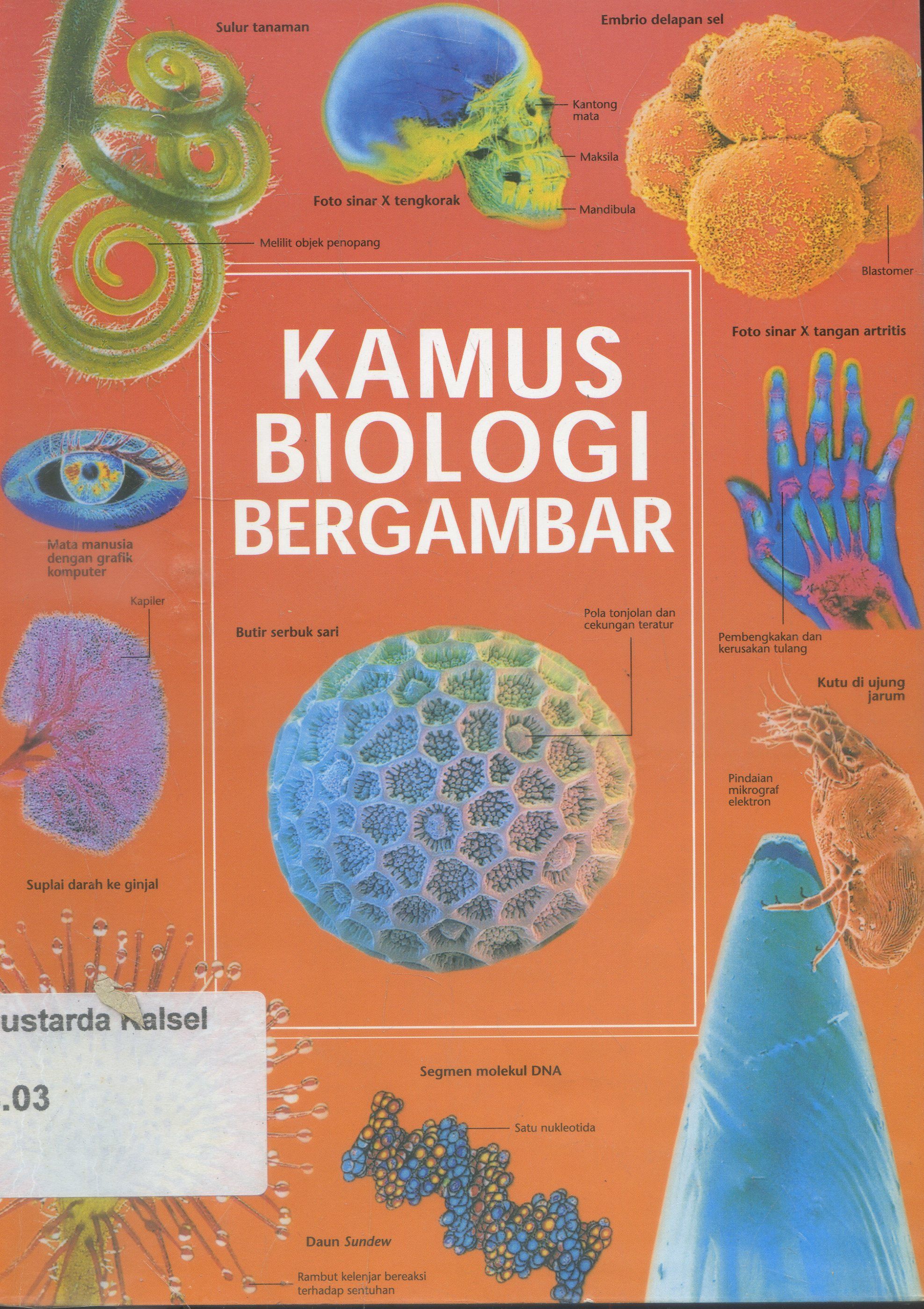 Cover Kamus Biologi Bergambar / Rintis Noviyanti ; editor, Wicahyaning Putri , Retno Widjajanti
