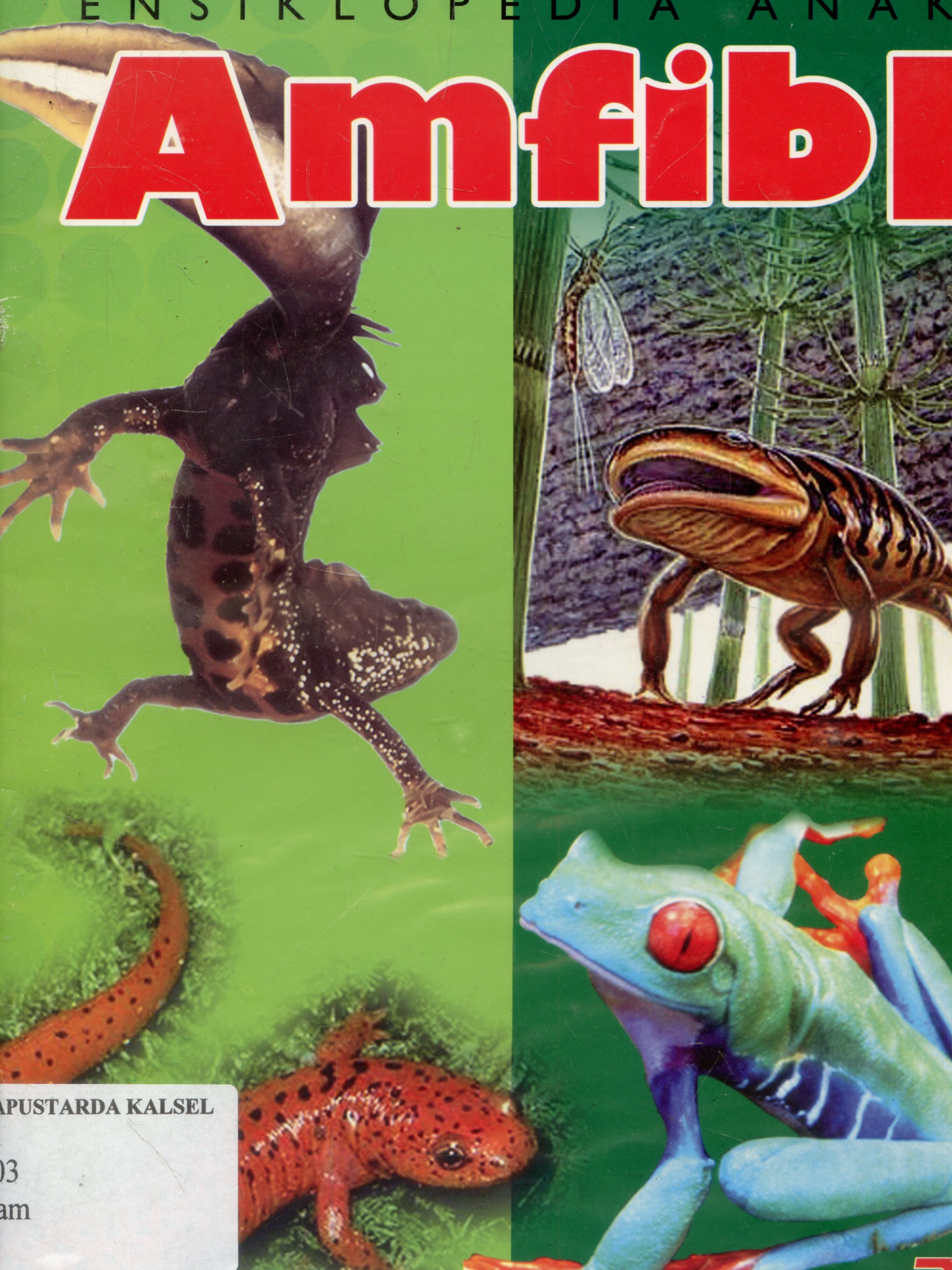 Cover Ensiklopedia anak : Amfibi / Tarama Nurmutiah