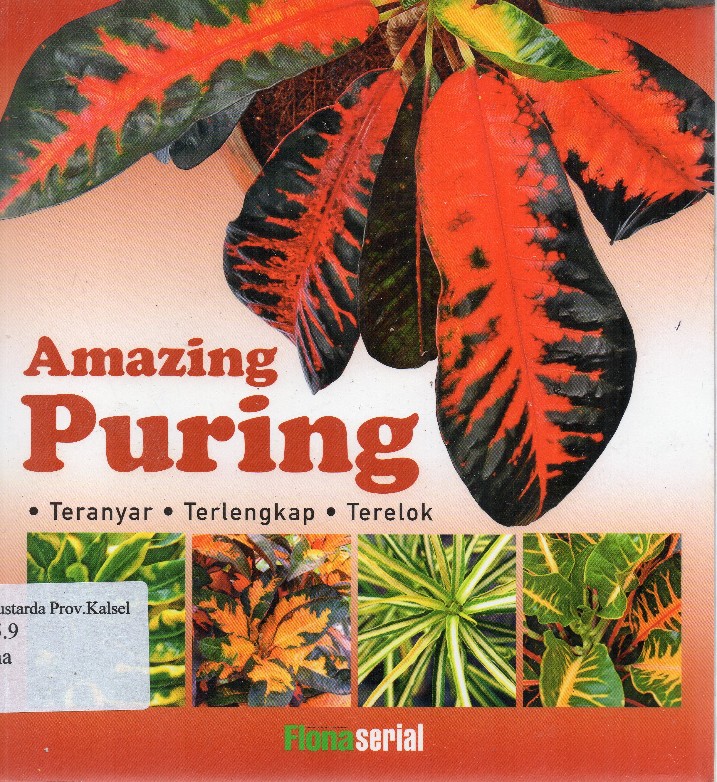 Cover Amazing Puring : Teranyar, terlengkap, terelok.