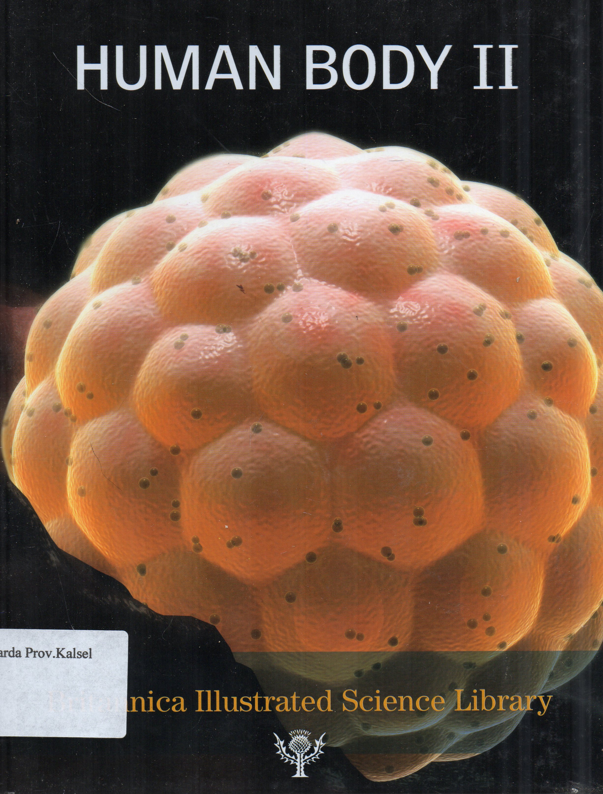 Cover Britannica Illustrated Science Library : Human II / editor, Michael Levy, John Rafferty ... [et.al.].