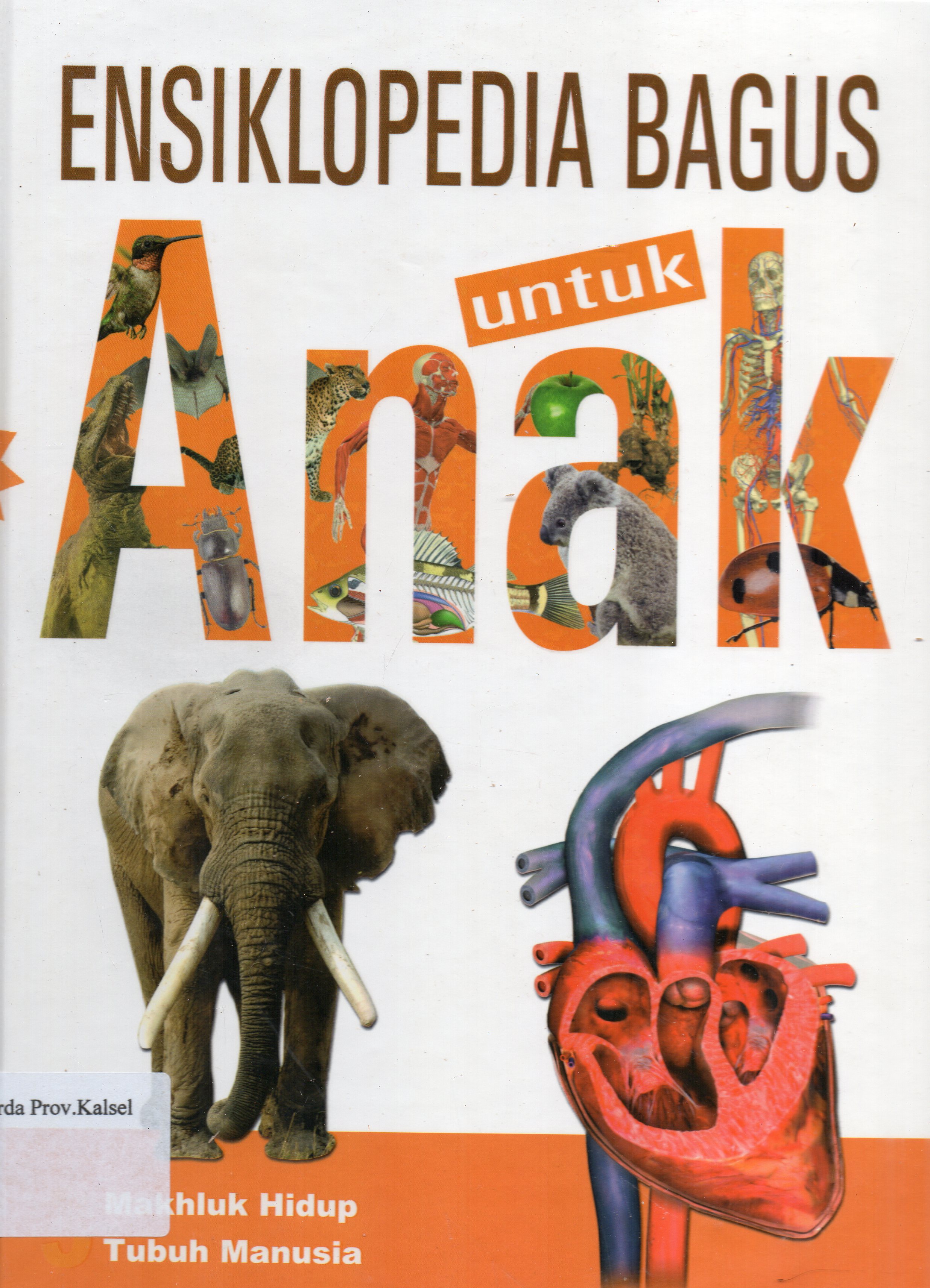Cover Ensiklopedia Bagus untuk Anak Jilid 3 : Makhluk Hidup, Tubuh Manusia / Pengalih Bahasa, Henny Susila ; Penyunting, Yersy Wulan, M. Surianto.