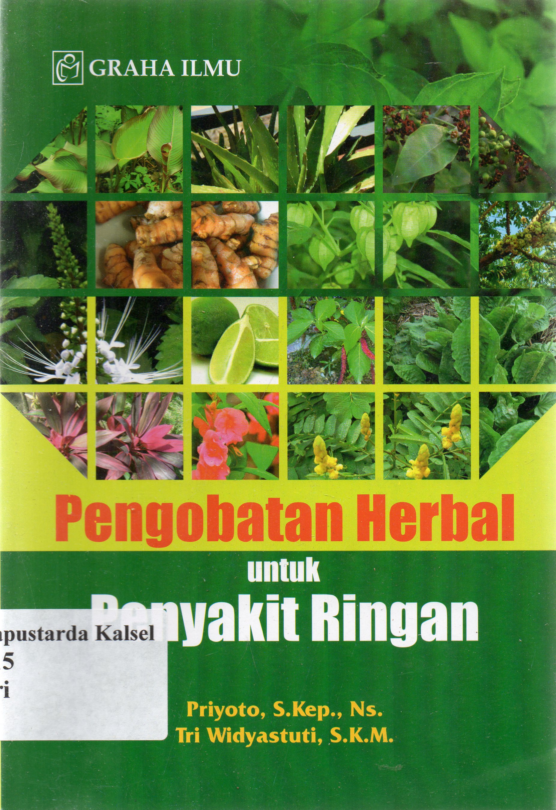 Cover Pengobatan herbal untuk penyakit ringan / Priyoto Tri Widyastuti.