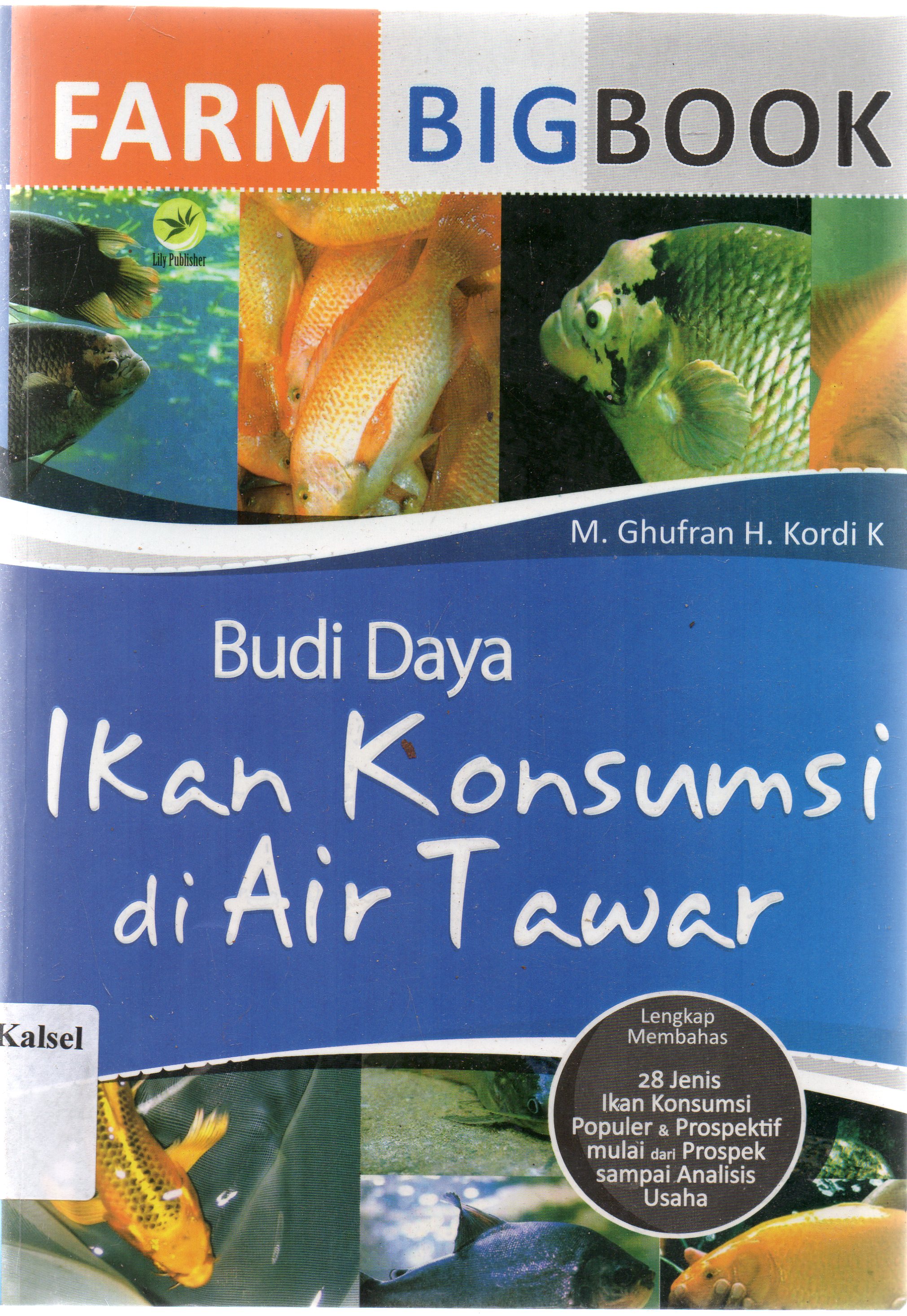 Cover Farm big book :  budi daya ikan konsumsi di air tawar / M. Ghufran H. Kordi K ; editor, Th Arie Prabawati.