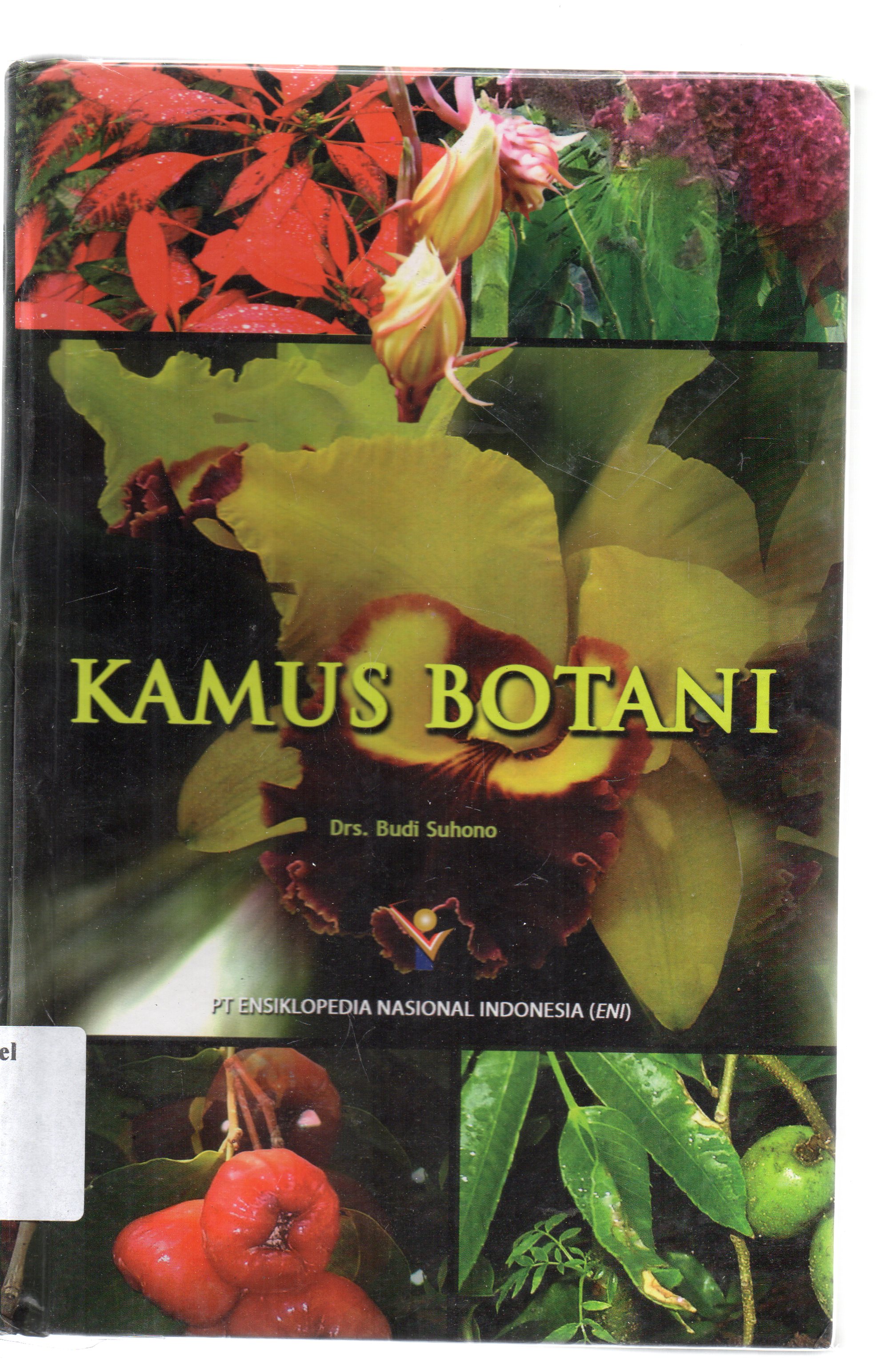 Cover Kamus Botani / Budi Suhono.
