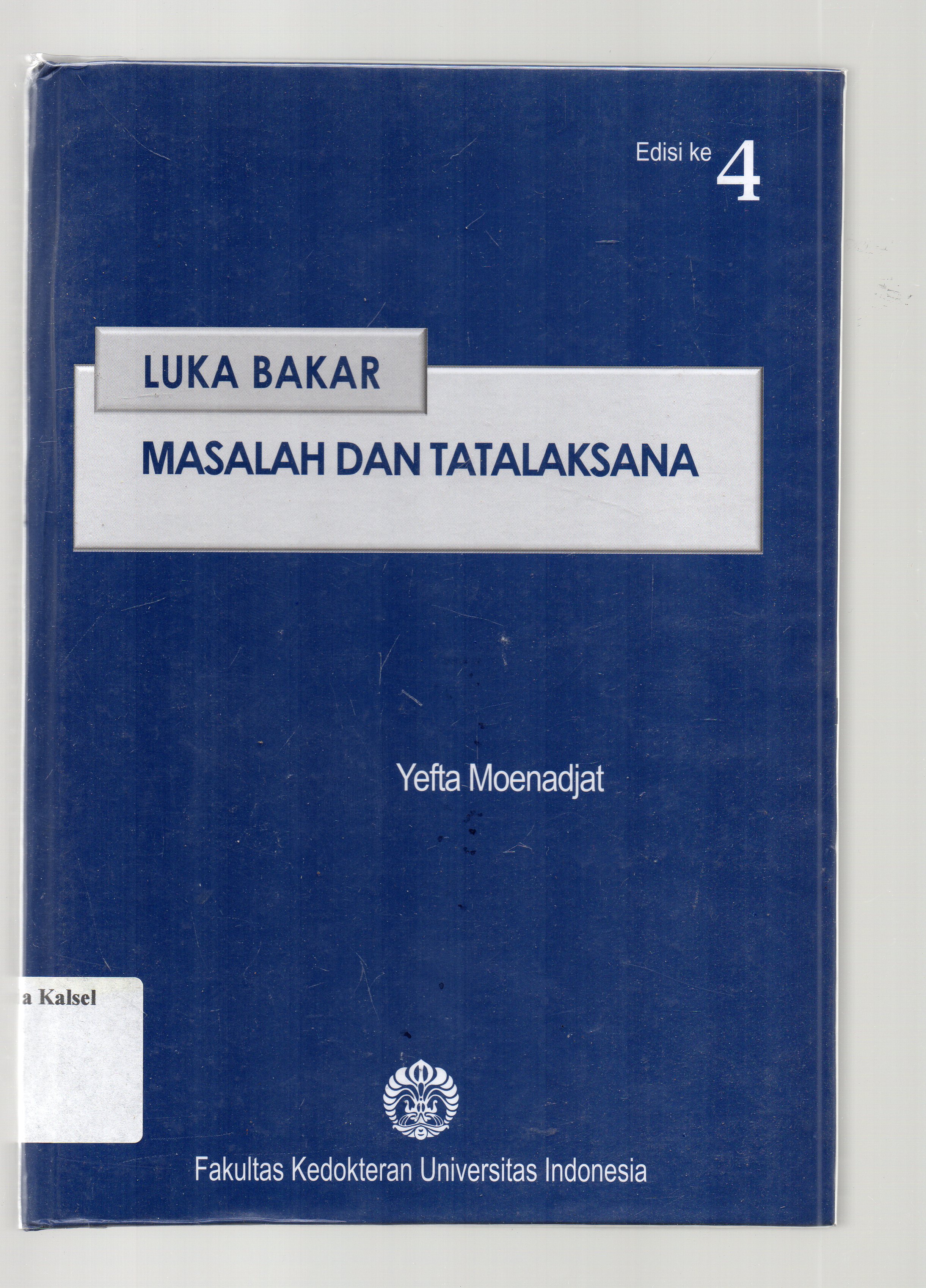 Cover Luka bakar :  masalah dan tata laksana / Yefta Moenadjat.