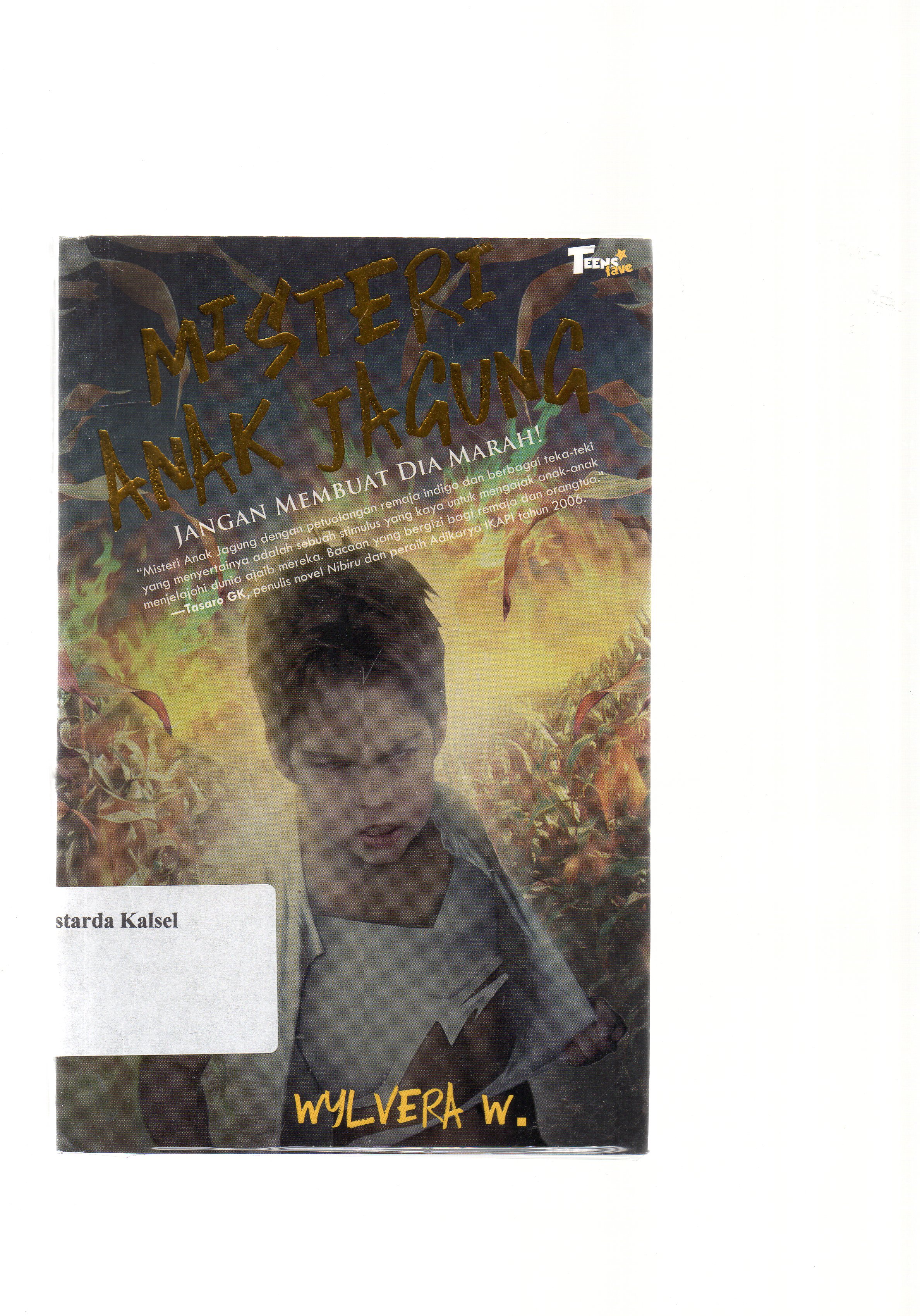 Cover Misteri anak jagung / Wylvera w ; Editor, Bebi haryanti dewi