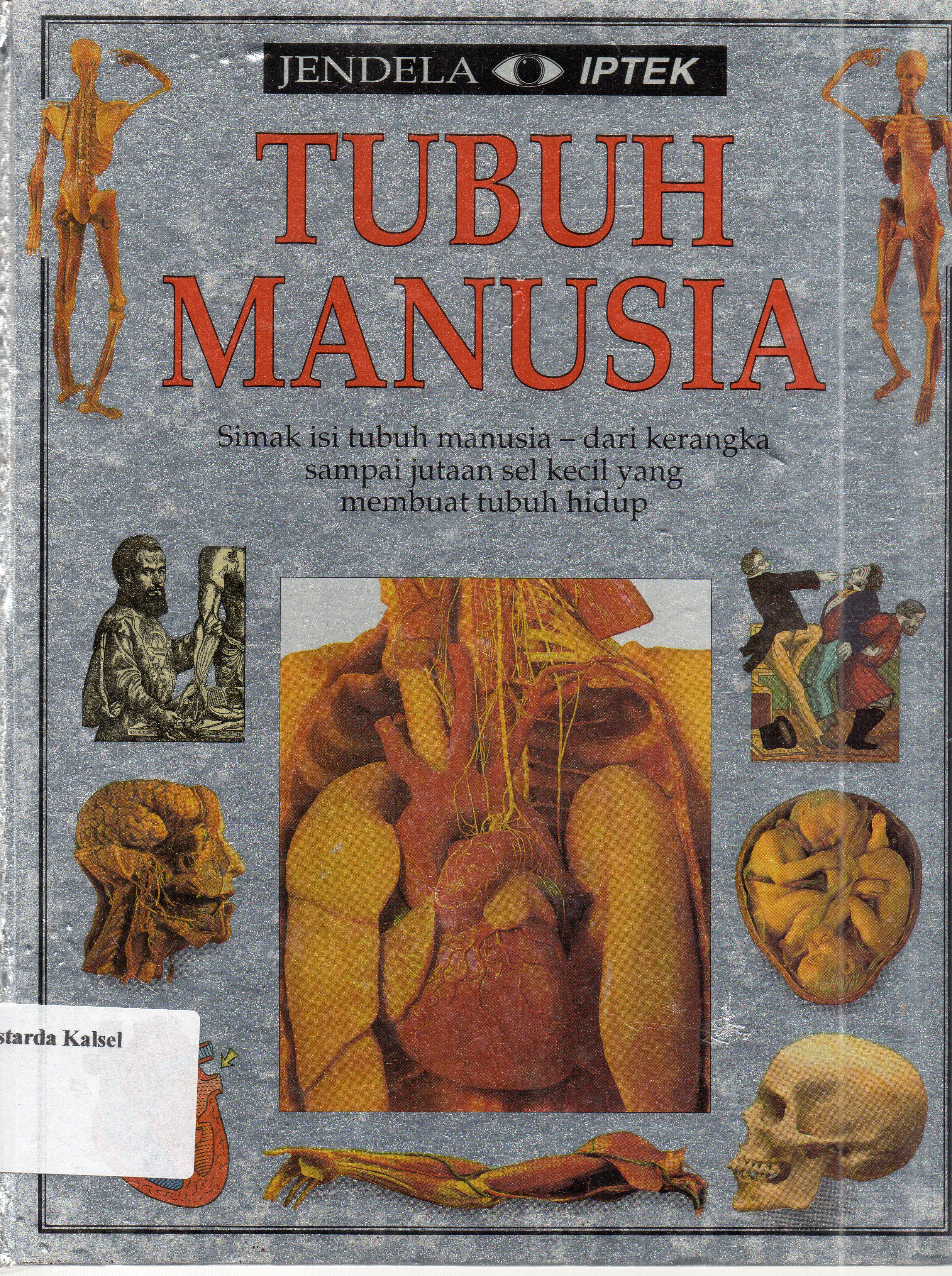Cover Jendela Iptek : Tubuh Manusia / Steve Parker