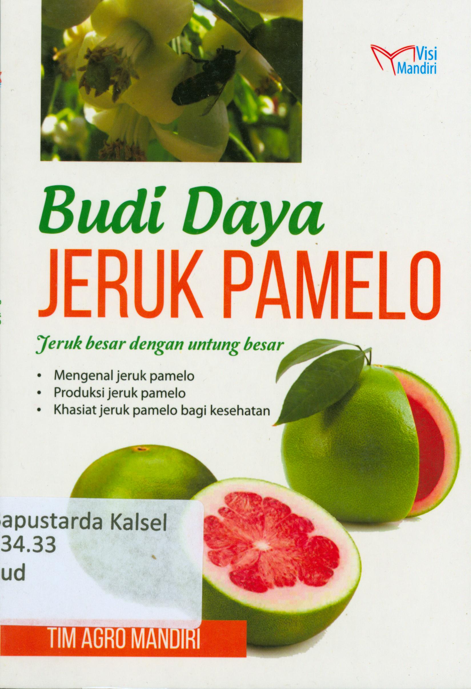 Cover Budidaya jeruk pamelo : Jeruk besar dengan untuk besar / Tim Agro Mandiri
