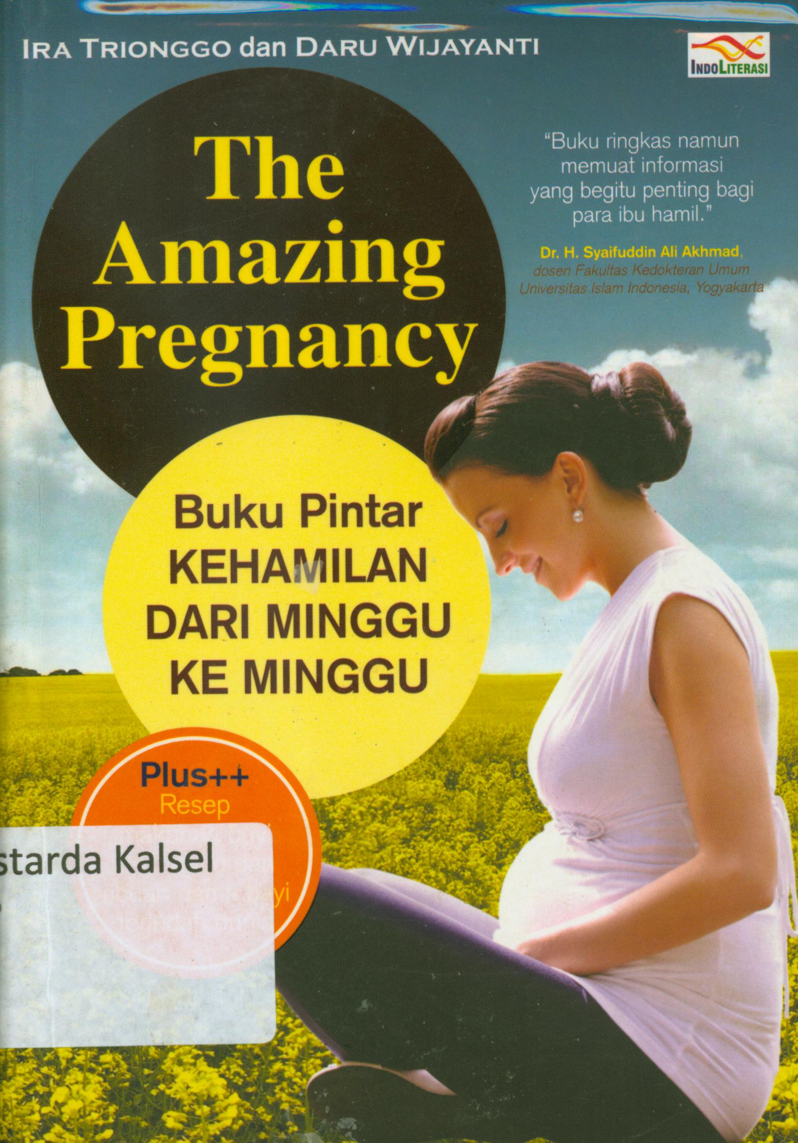 Cover The amazing pregnancy : buku pintar kehamilan dari minggu ke minggu / Ira Trionggo, Daru Wujayanti