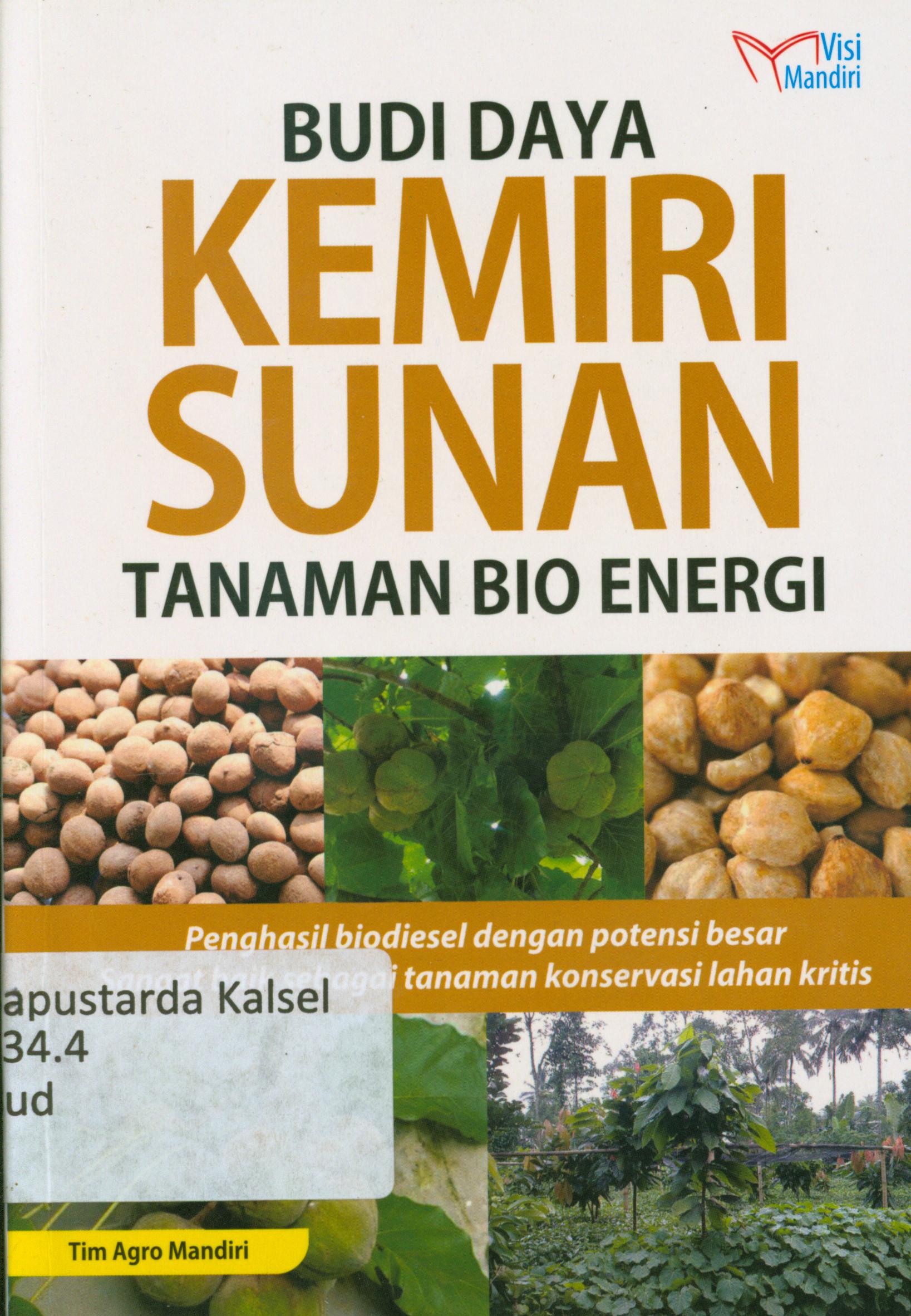 Cover Budidaya kemiri sunan tanaman Bio energi : Penghasil biodesel dengan potensi besar sangat baik sebagai tanaman konservasi lahan kritis / Tim agro mandiri.