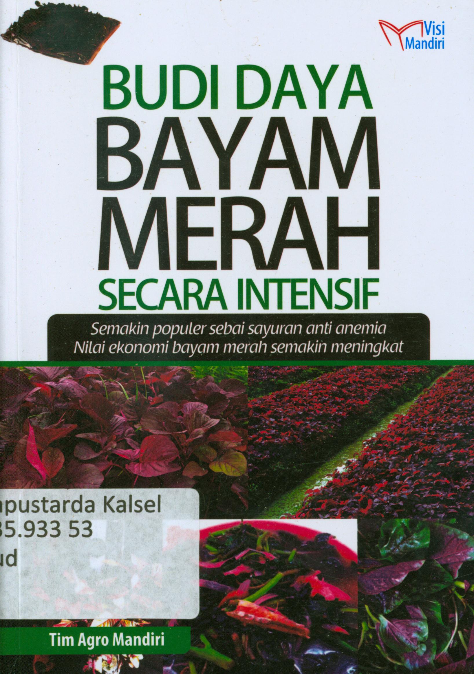 Cover Budidaya Bayam Merah secara intensif : Semakin populer sebai sayuran anti anemia nilai ekonomi bayam merah semakin meningkat / Tim Agro Mandiri.