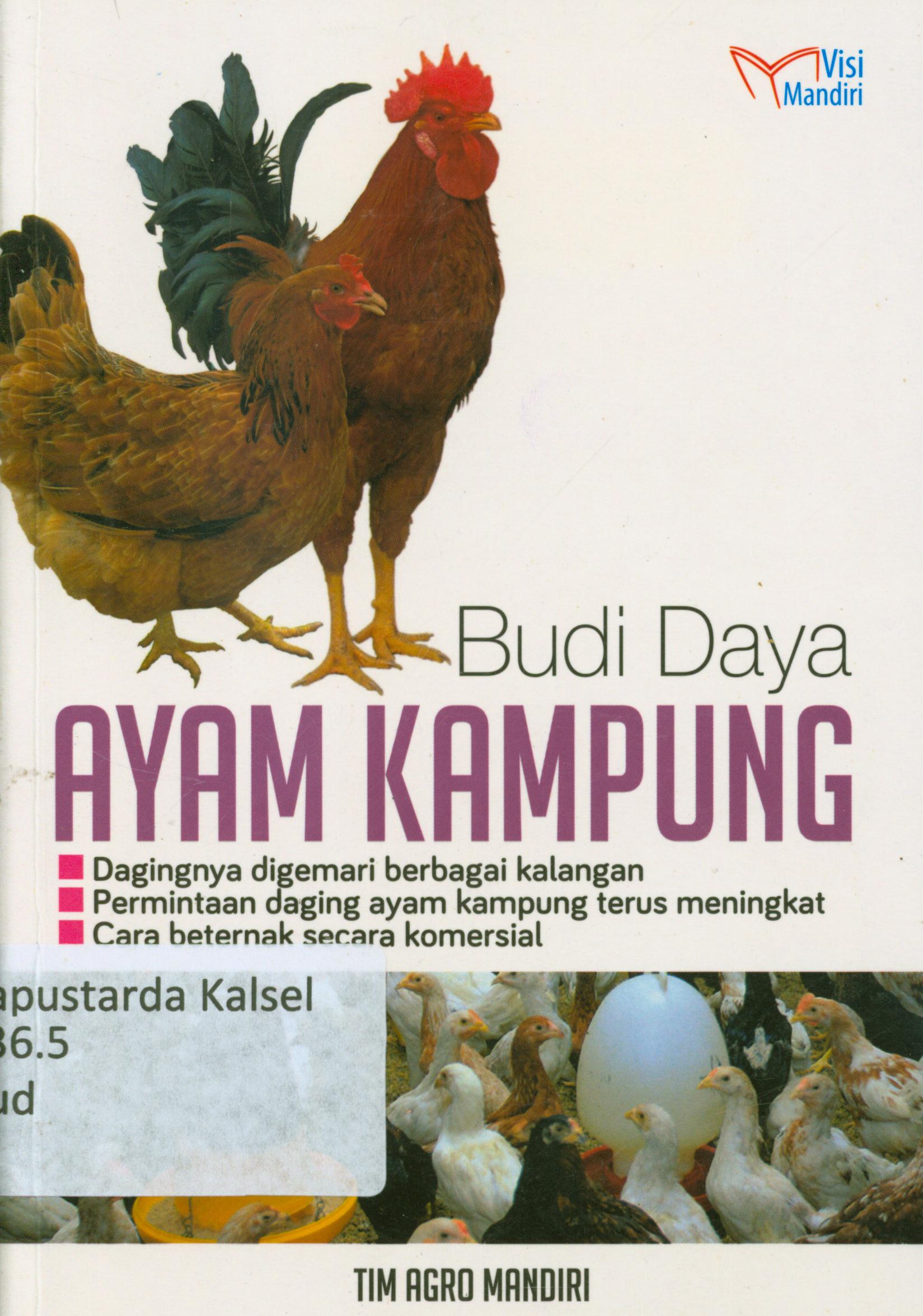 Cover Budidaya ayam kampung : Dagingnya digemari berbagai kalangan, permintaan daging ayam kampung terus meningkat, cara beternak secara komersial / Tim Agro Mandiri
