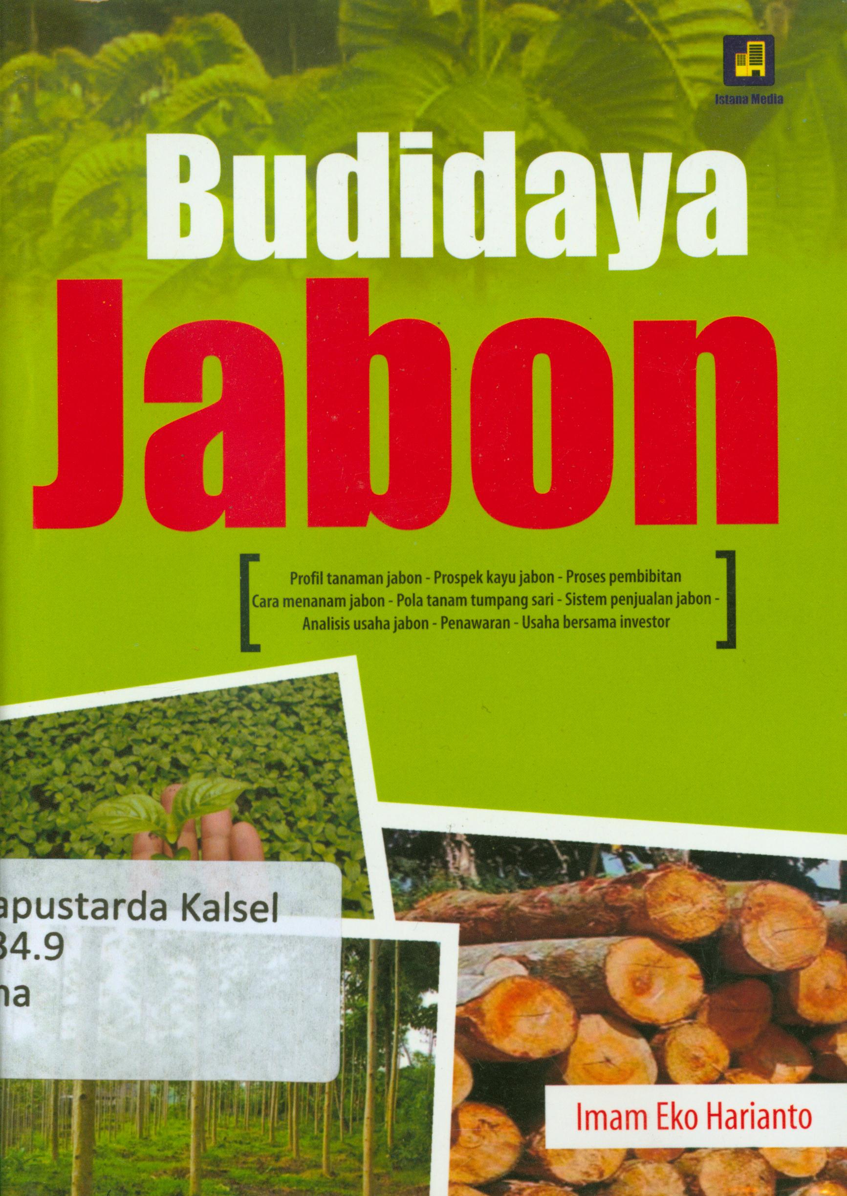 Cover Budidaya jabon / Imam Eko Harianto