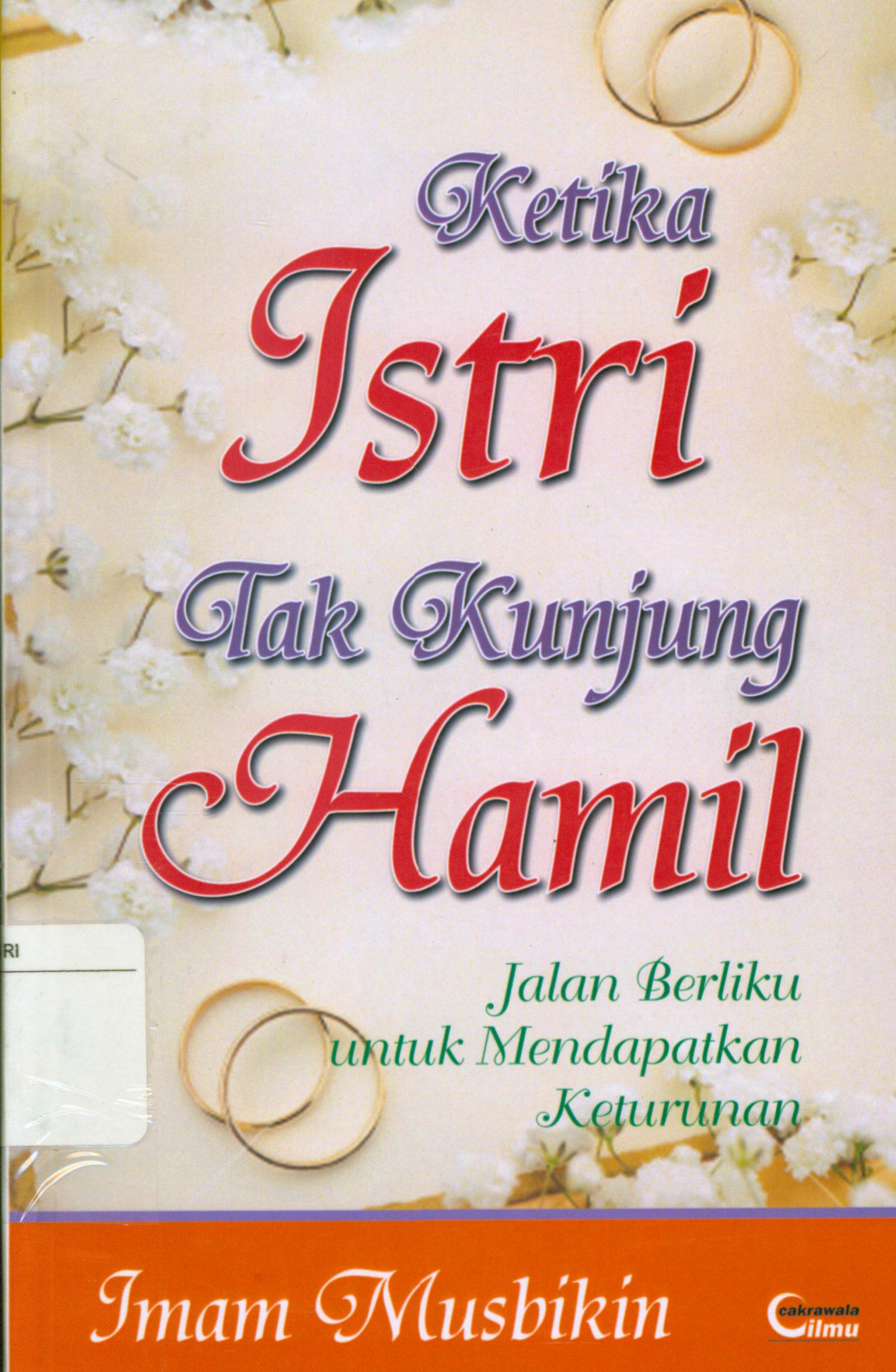 Cover Ketika istri tak kunjung hamil : jalan berliku untuk mendapatkan keturunan / Imam Musbikinc.