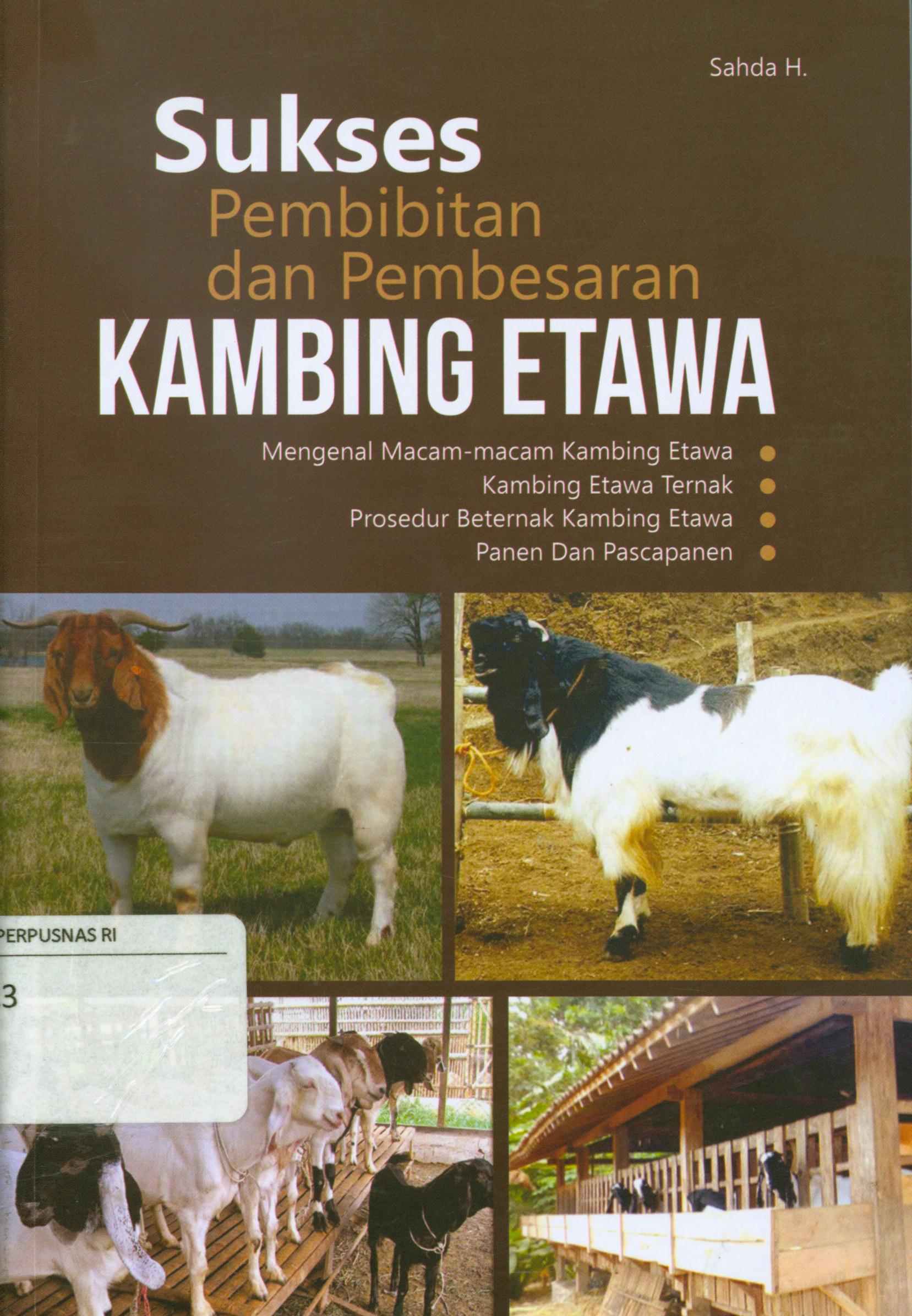 Cover Sukses pembibitan dan pembesaran kambing etawa : Mengal macam-macam kambing etawa, Kambing etawa ternak, prosedur beternak kambing etawa, panen dan pascapanen / Sahda H.