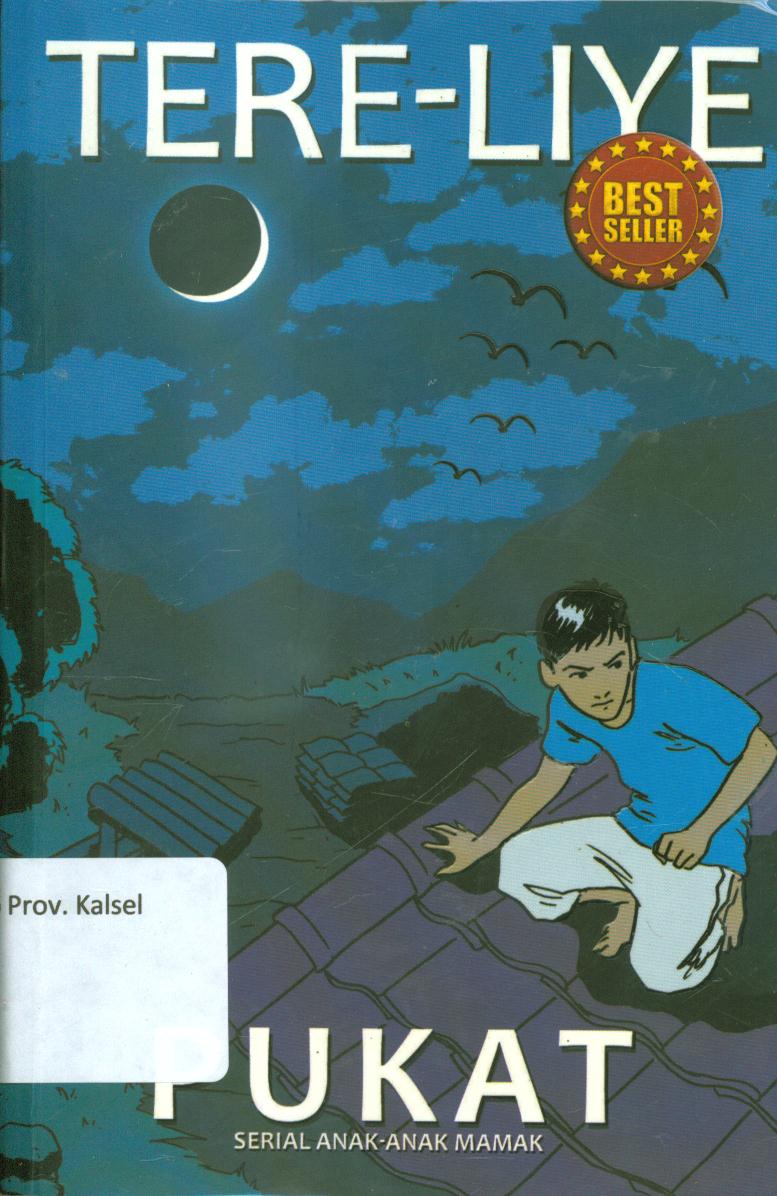 Cover Pukat serial anak-anak mamak / Tere Liye ; editor, Riski Amelia.