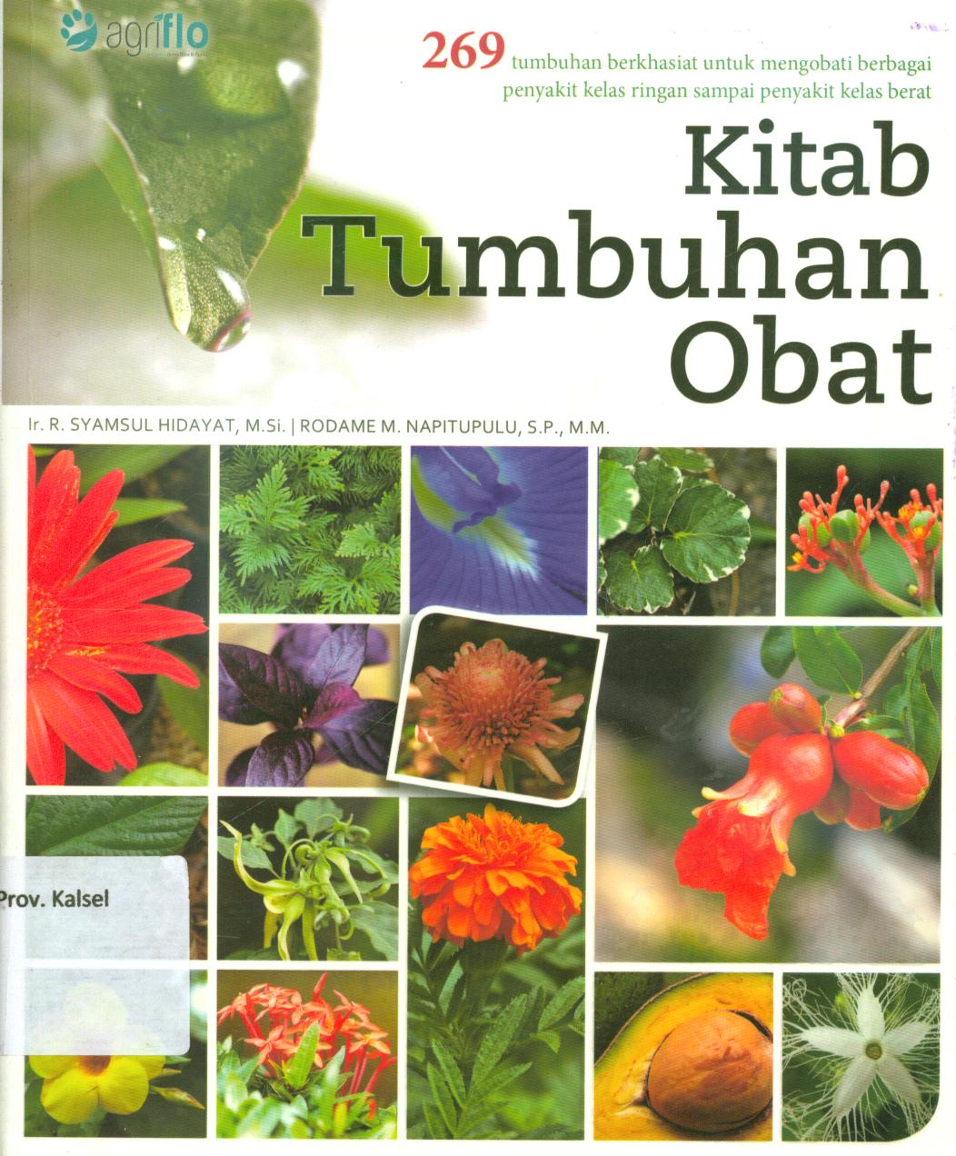 Cover Kitab tumbuhan obat :  269 tumbuhan berkhasiat uuntuk mengobati berbagai penyakit kelas ringan sampai penyakit kelas berat / R. Syamsul Hidayat, Rodame M. Napitupulu ; editor, Febrian Al Nurrohmah