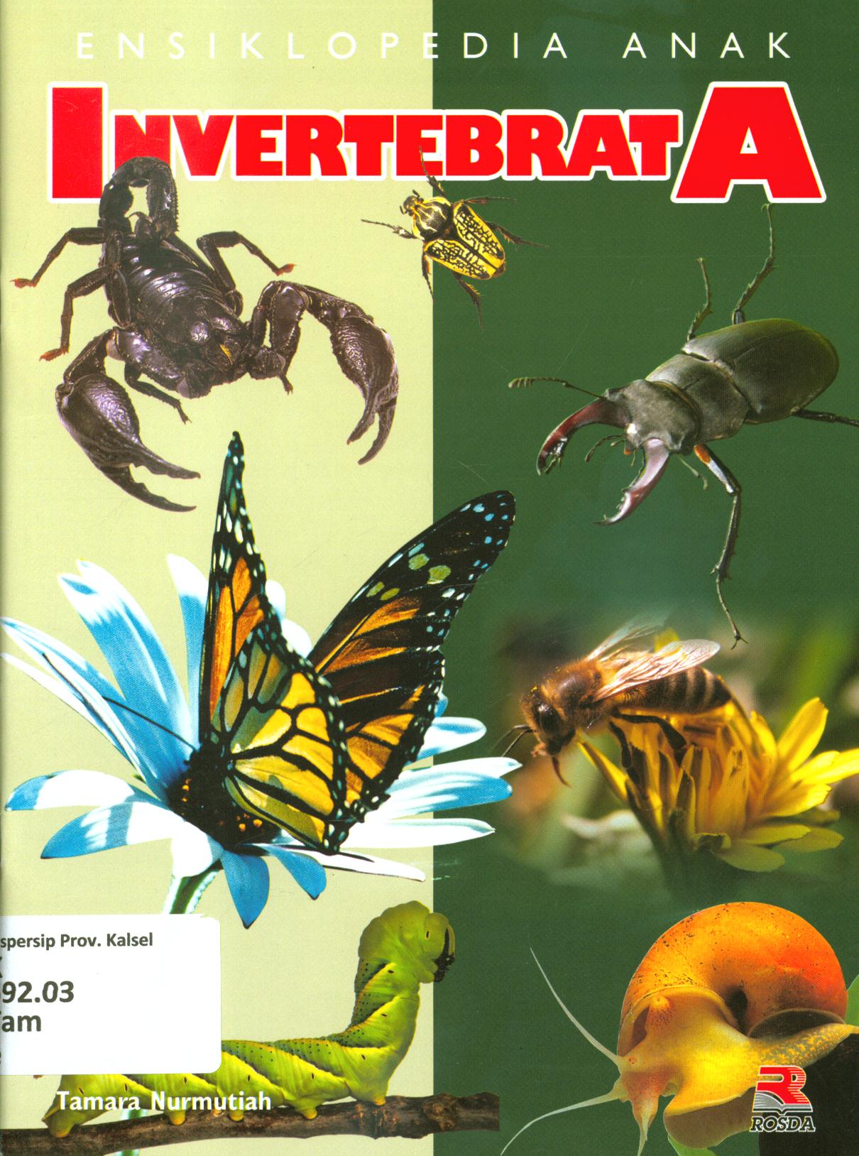 Cover Ensiklopedia anak invertebrata / Tamara Nurmutiahi ; penyunting, Pipih Latifah