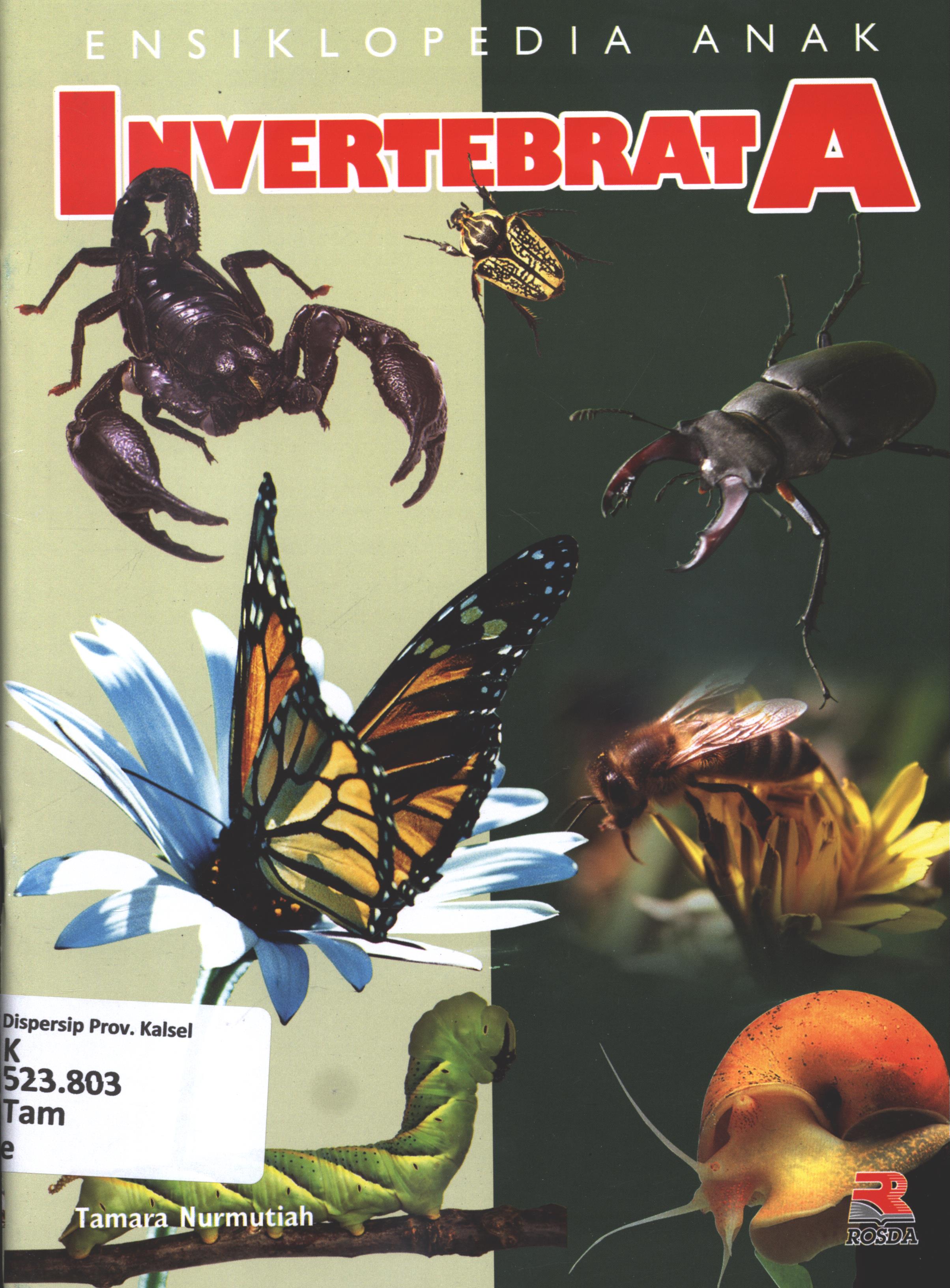 Cover Ensiklopedia anak invertebrata / Tamara Nurmutiahi ; penyunting, Pipih Latifah