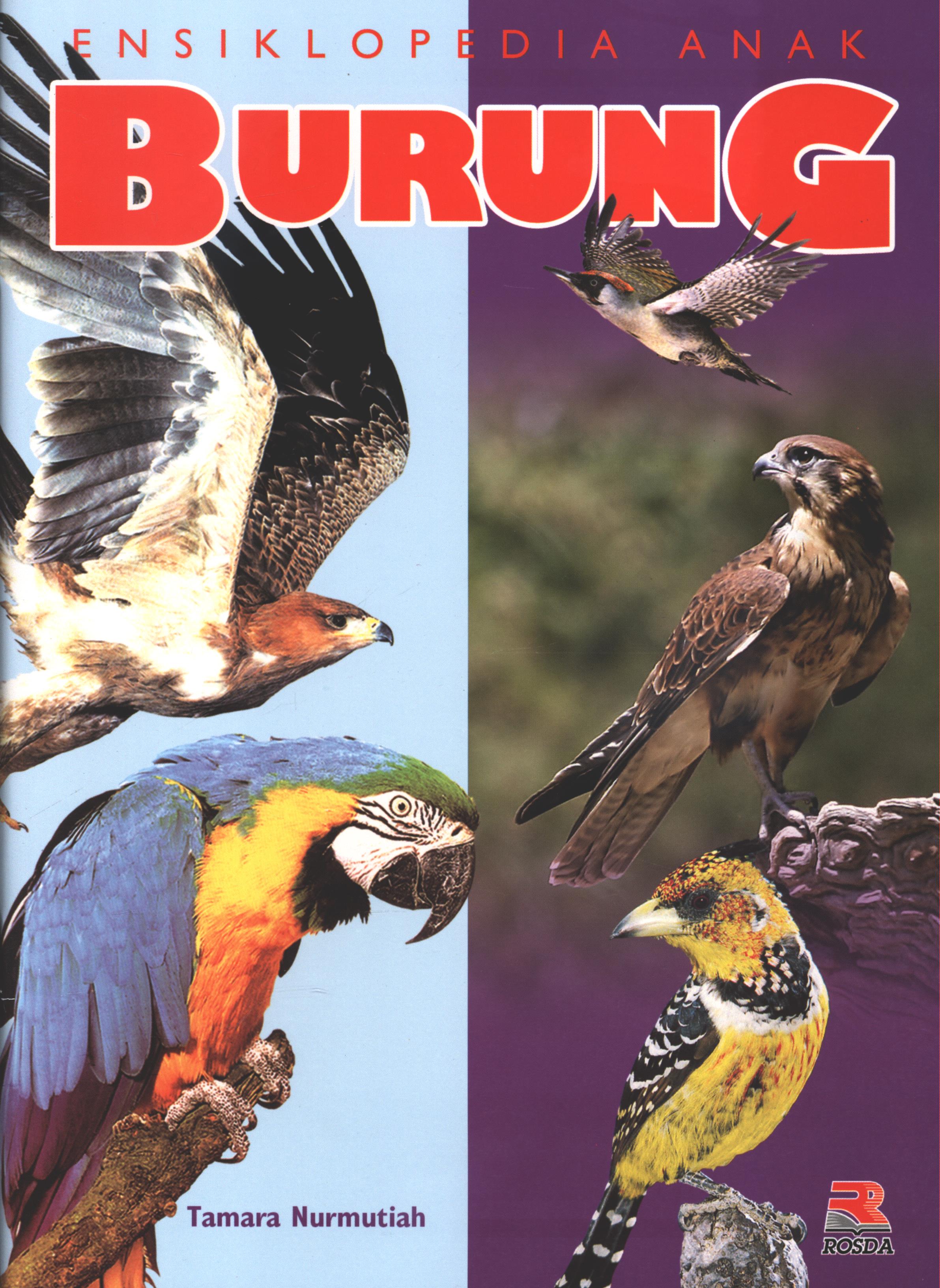 Cover Ensiklopedia anak burung / Tamara Nurmutiah ; penyunting, Pipih Latifah