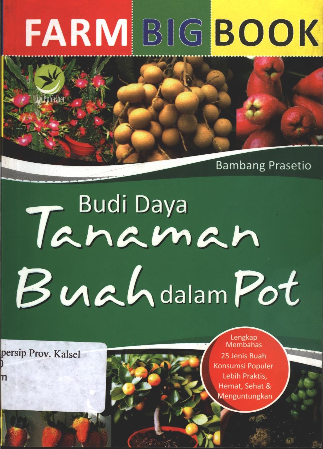 Cover Farm Big Book Budi Daya Tanaman Buah dalam Pot / Bambang Prasetio ; editor, FL. Sigit Suyantoro