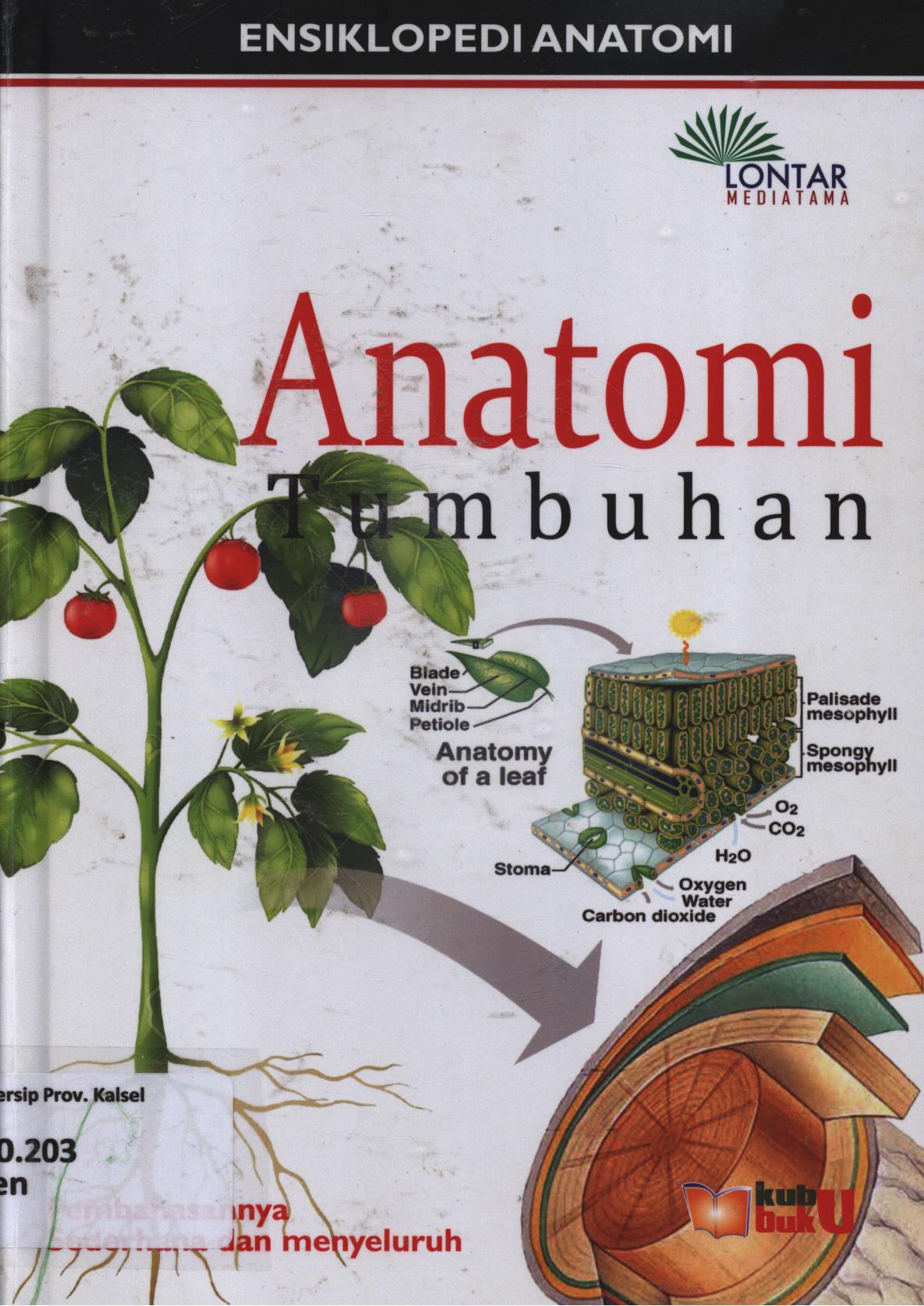 Cover Mengenal anatomi tumbuhan (Ensiklopedi IPA) / Ardian PGS...[et.al.] ; editor, Dery