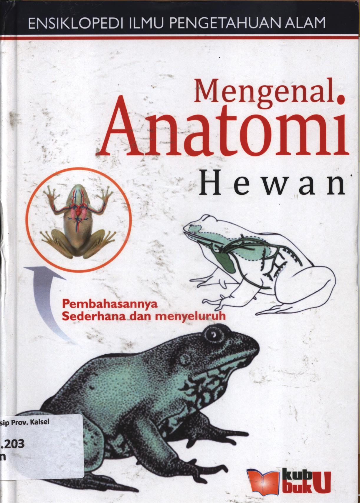 Cover Mengenal anatomi hewan (Ensiklopedi IPA) / Ardian PGS...[et.al.] ; editor, Dery