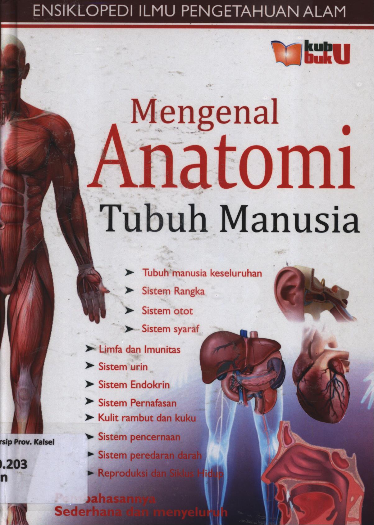 Cover Mengenal anatomi manusia (Ensiklopedi IPA) / Ardian PGS...[et.al.] ; editor, Dery