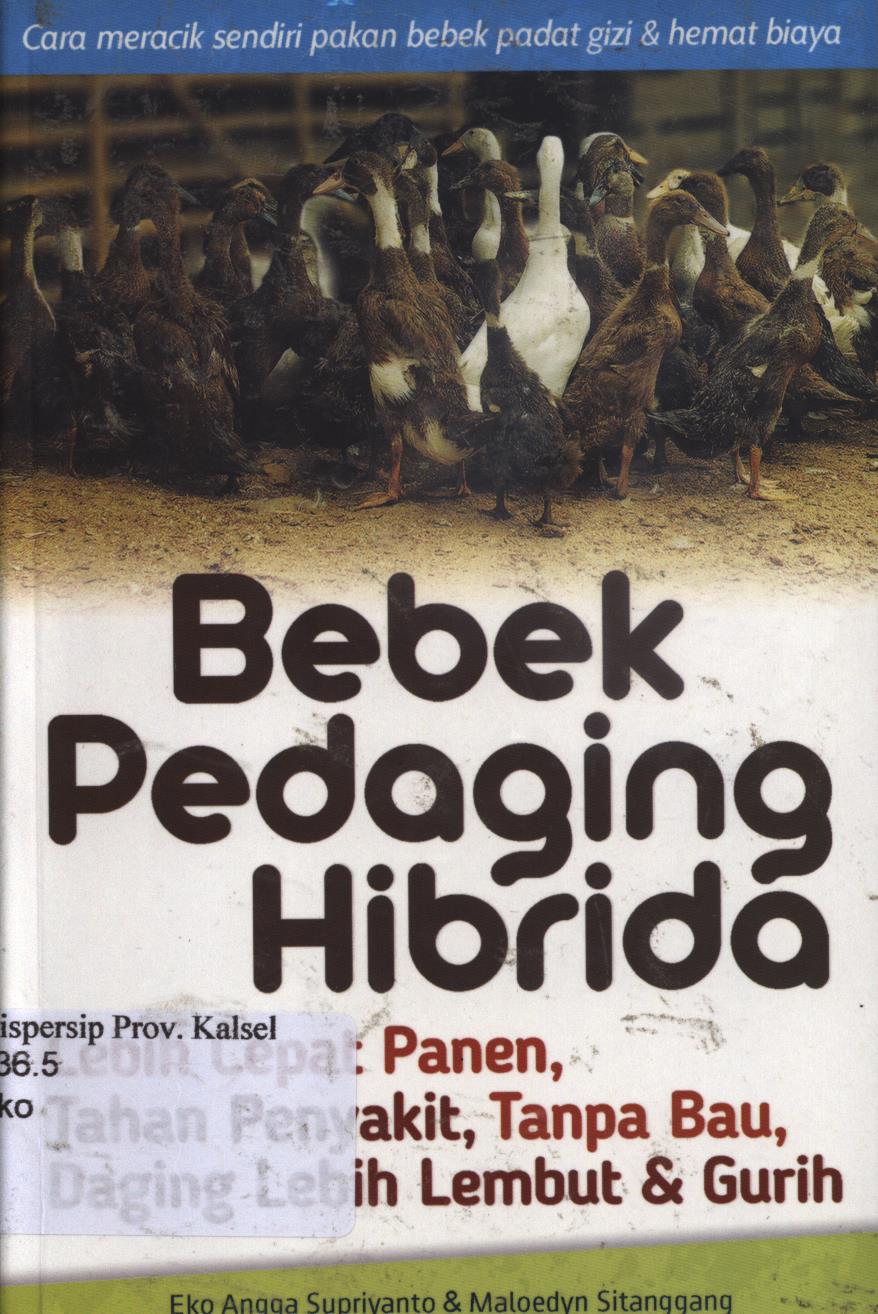 Cover Bebek pedaging hibrida :  lebih cepat panen, tahan penyakit, tanpa bau, daging lembut dan gurih / Eko Angga Supriyanto, Maloedyn Sitanggang ; penyunting, Untung Prastio