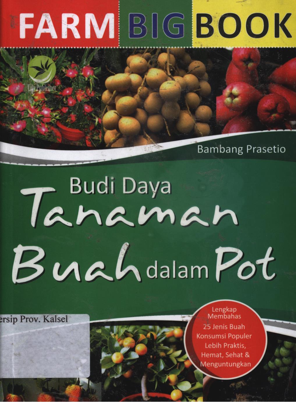 Cover Farm Bigbook :  Budi daya tanaman buah dalam pot / Bambang Prasetio ; editor, Fl. Sigit Suyantoro