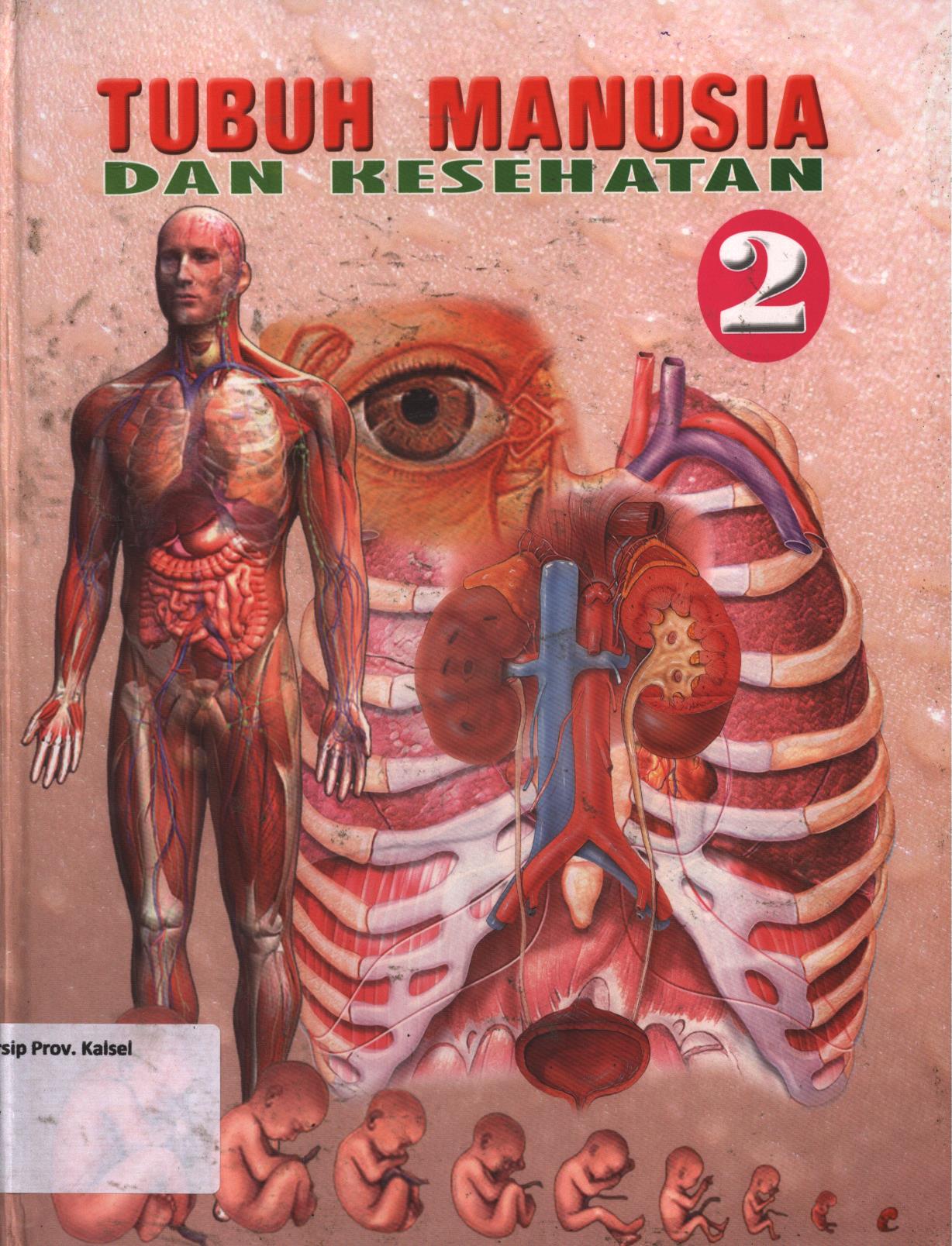Cover Tubuh manusia dan kesehatan 2 / Vievid D Utami