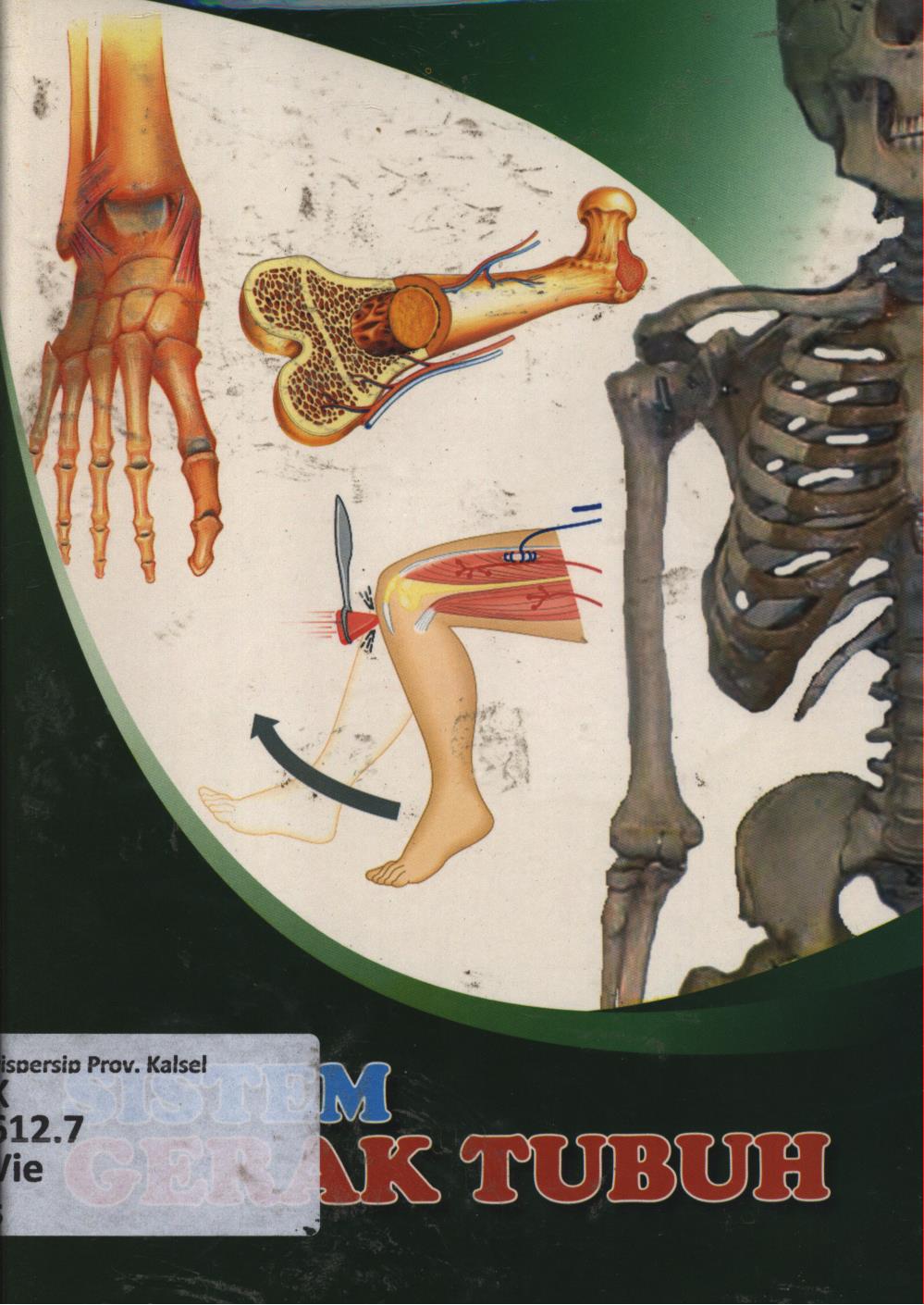 Cover Sistem gerak / Vievid D.Utami