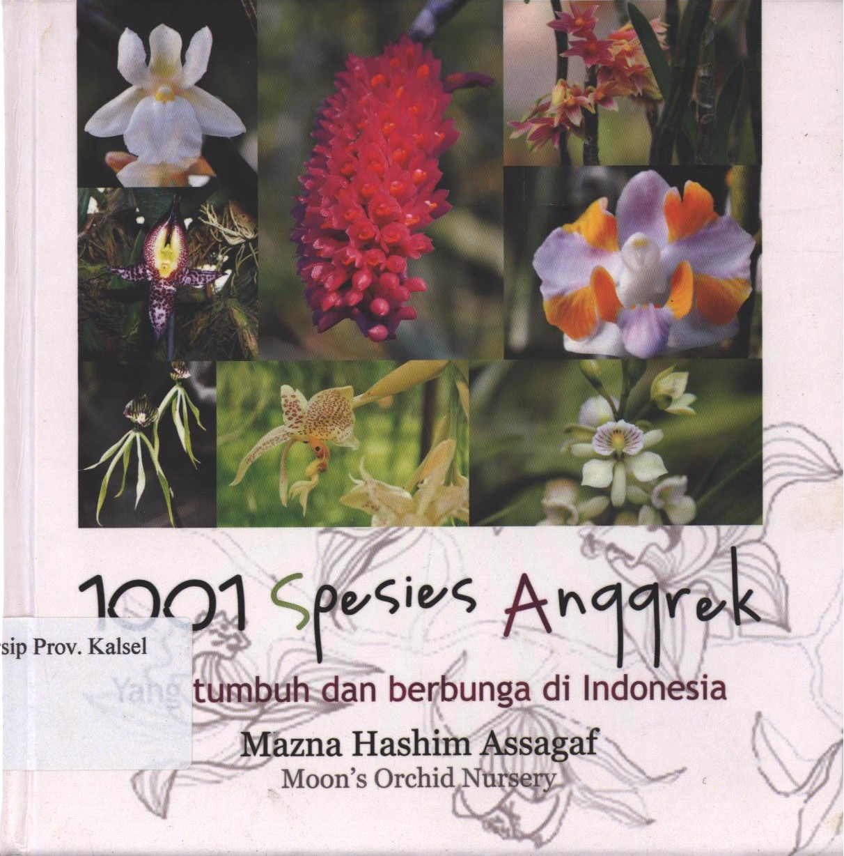 Cover 1001 Spesies Anggrek :  Yang Tumbuh dan Berbunga di Indonesia / Mazna Hashim Assagaf ; editor, Tutut M. Lestari