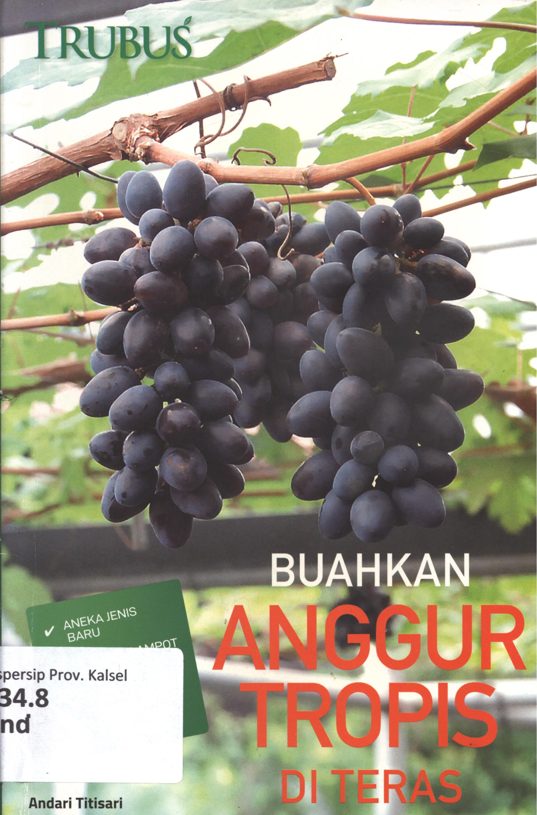 Cover Buahkan anggur tropis di teras / Andari Titisari ; penyunting, Rosy Nur Apriyanti, cover,  Antonius Riyadi