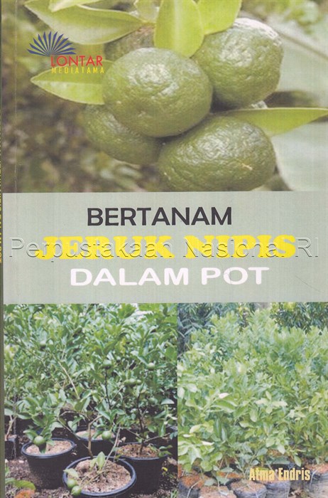 Cover Bertanam Jeruk Nipis Dalam Pot / Atma Endris